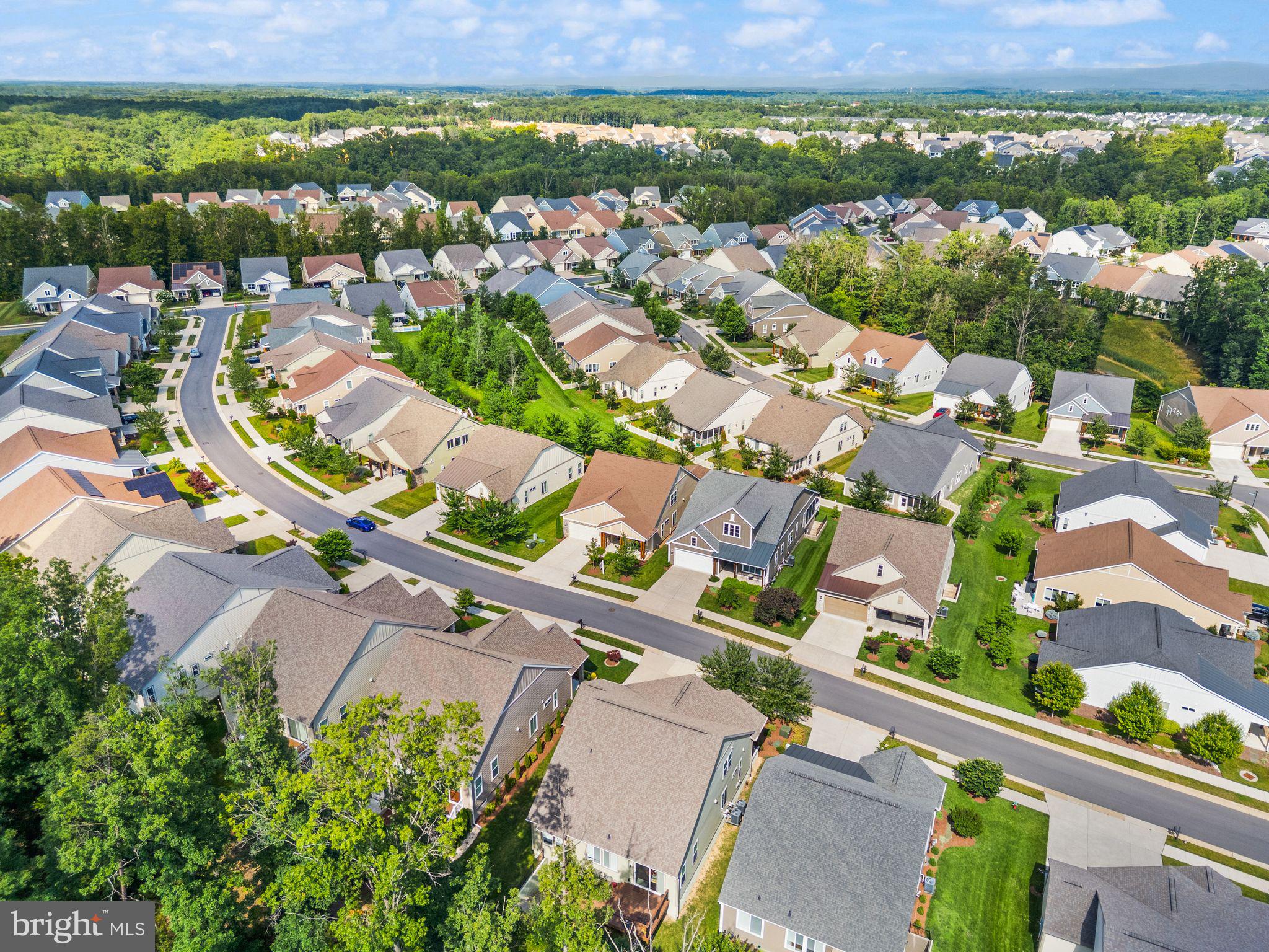 SHENANDOAH, LAKE FREDERICK - Residential