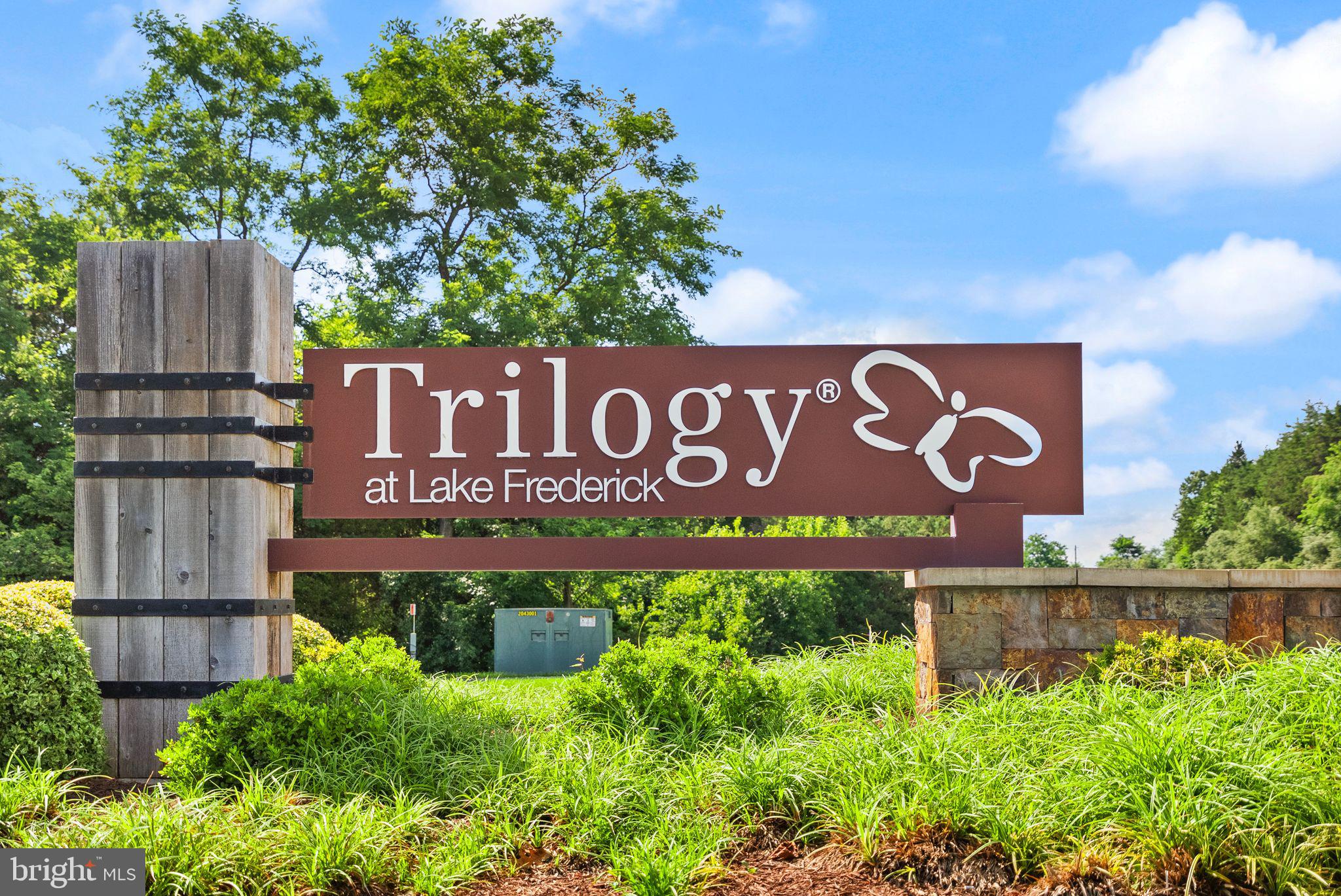 SHENANDOAH, LAKE FREDERICK - Residential