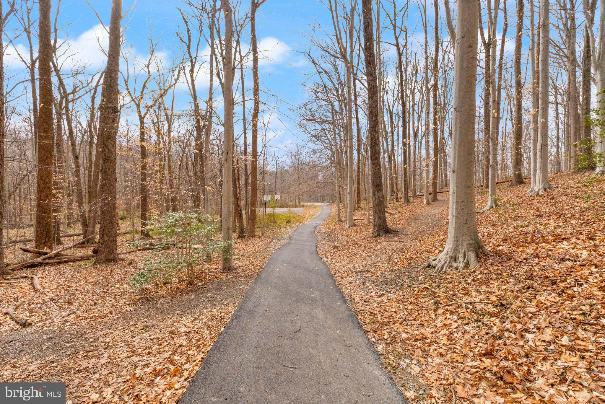 BURKE STATION SQUARE - Residential