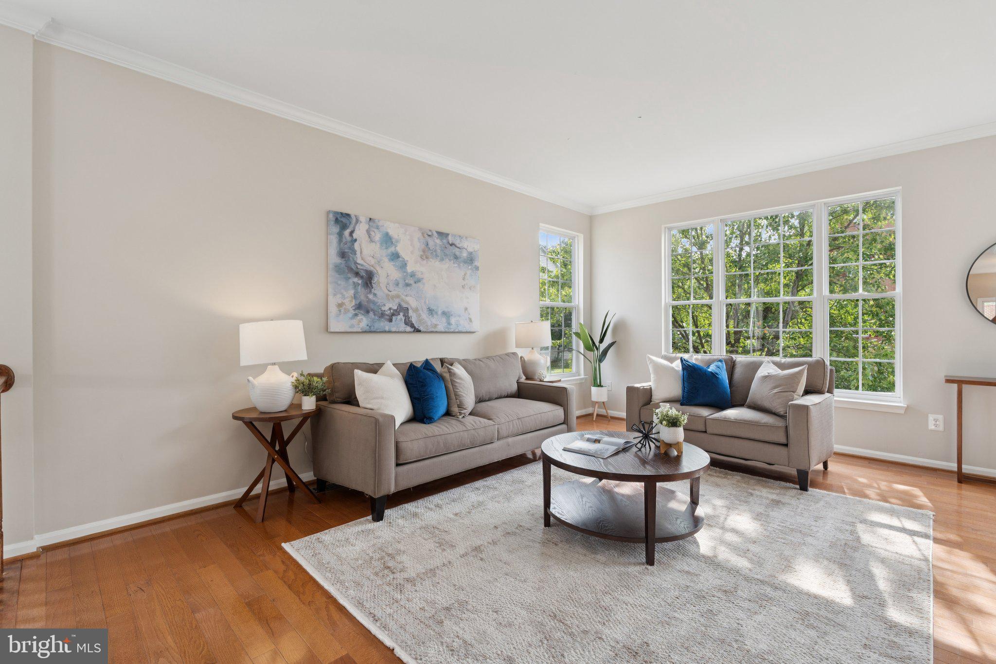 GREAT FALLS CHASE - Residential