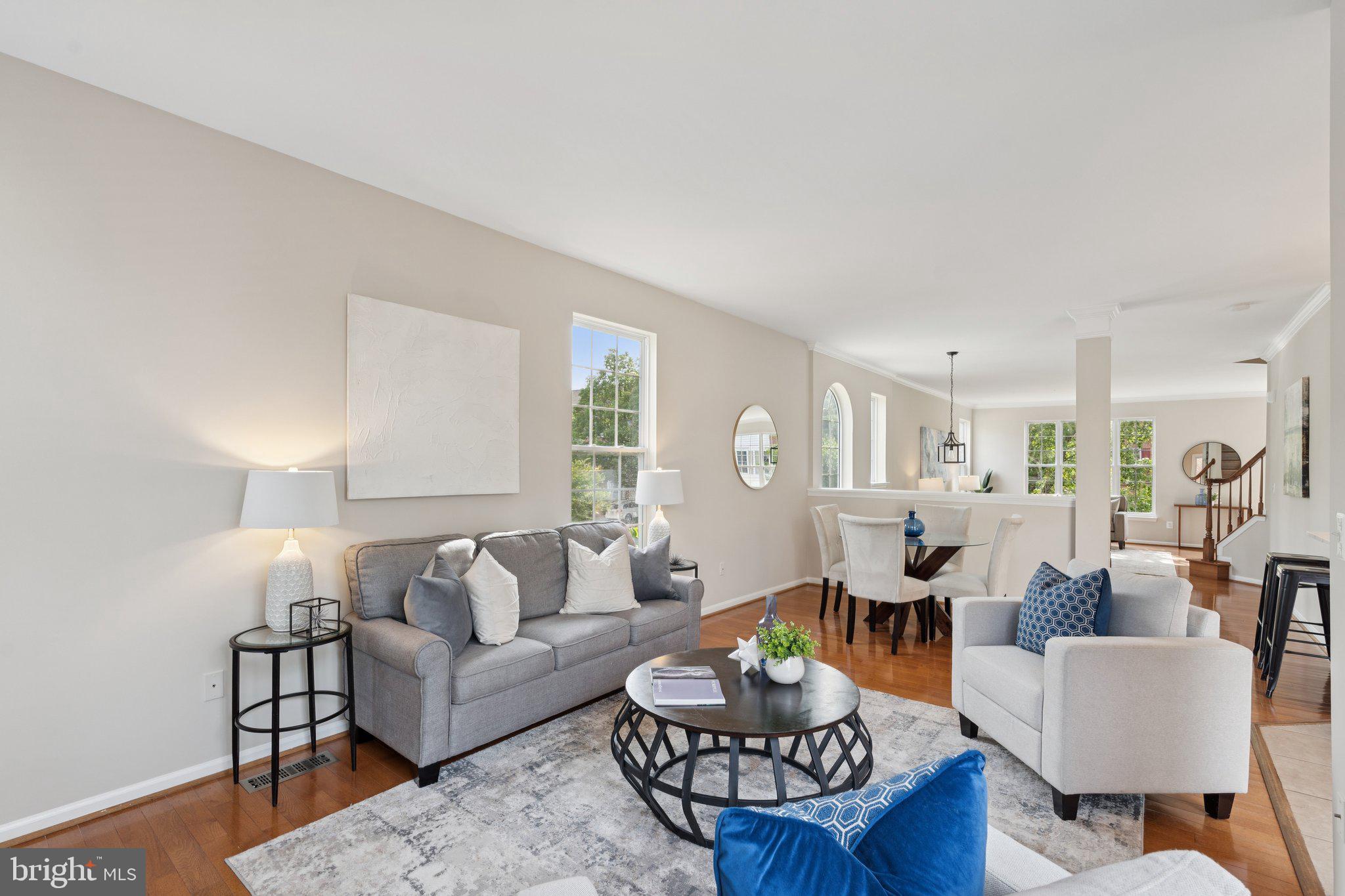 GREAT FALLS CHASE - Residential