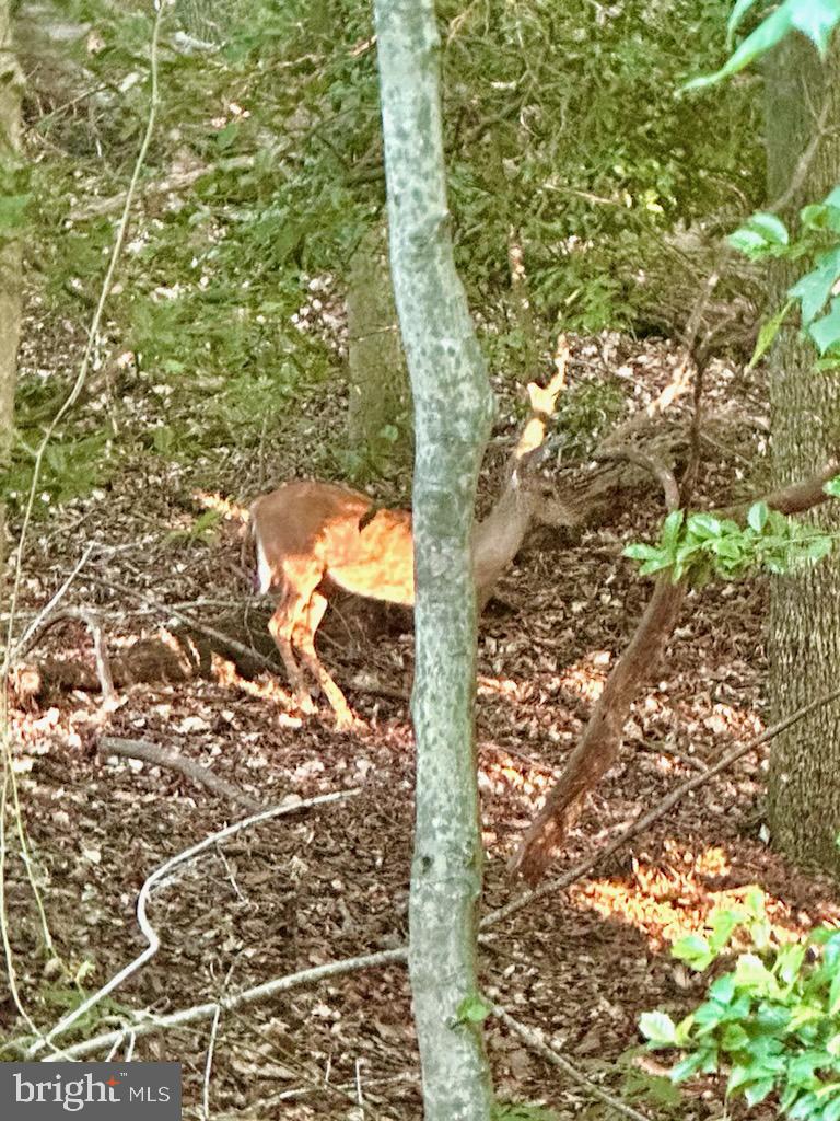 CHESAPEAKE RANCH ESTATES - Residential