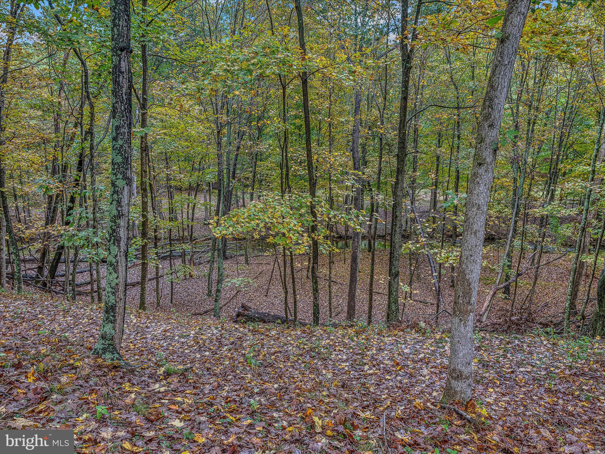 CACAPON SOUTH - Residential