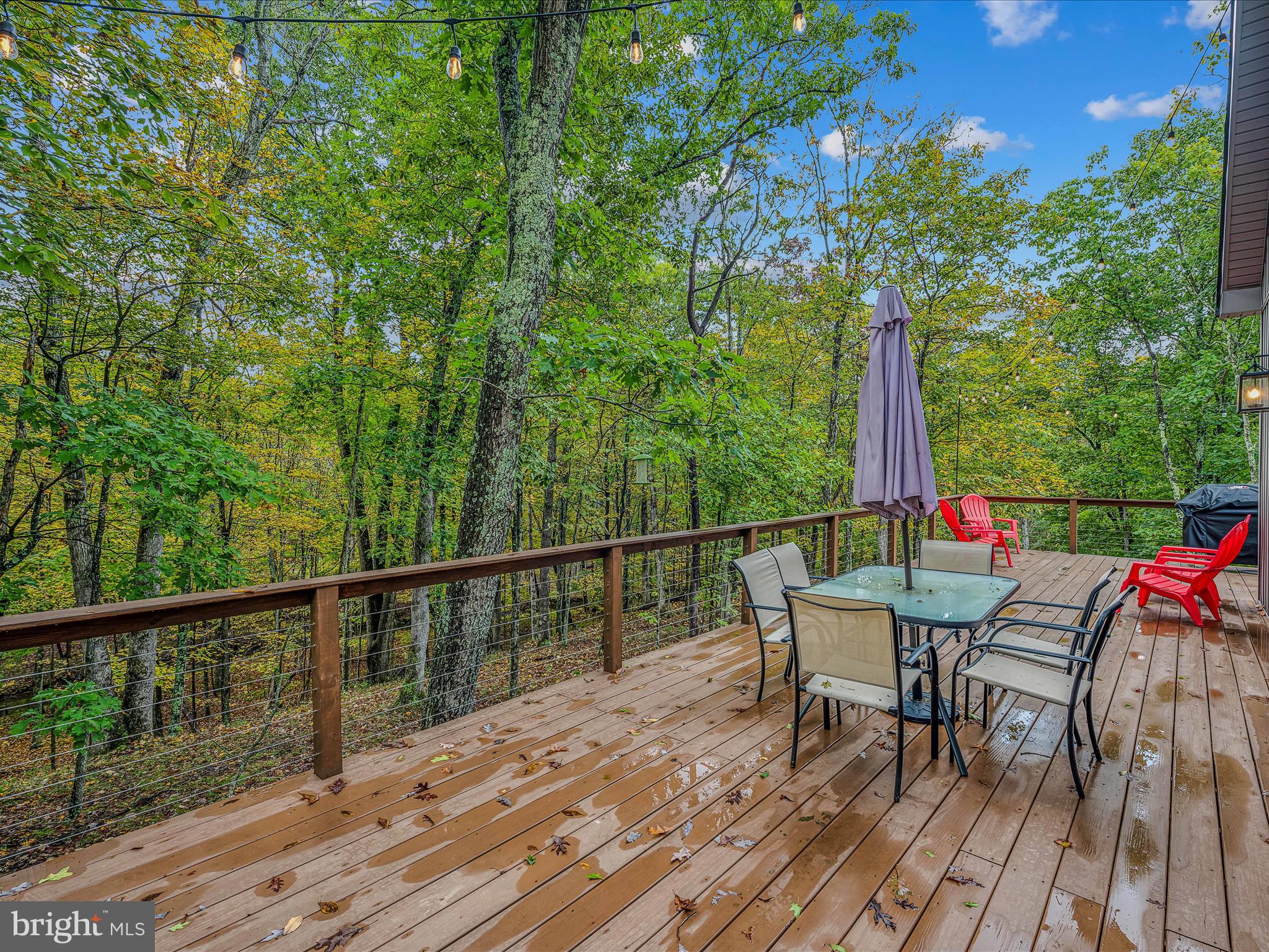 CACAPON SOUTH - Residential