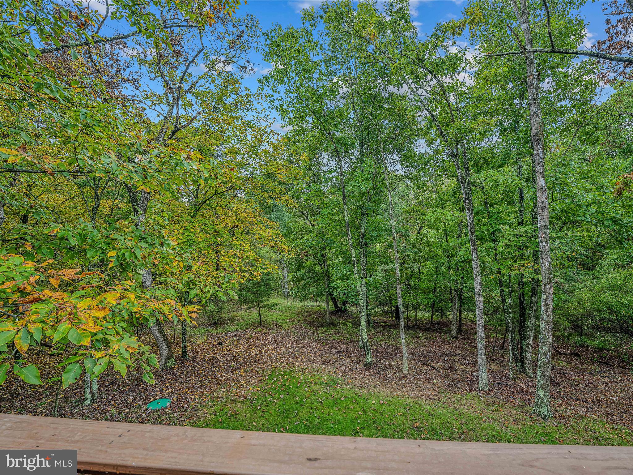 CACAPON SOUTH - Residential