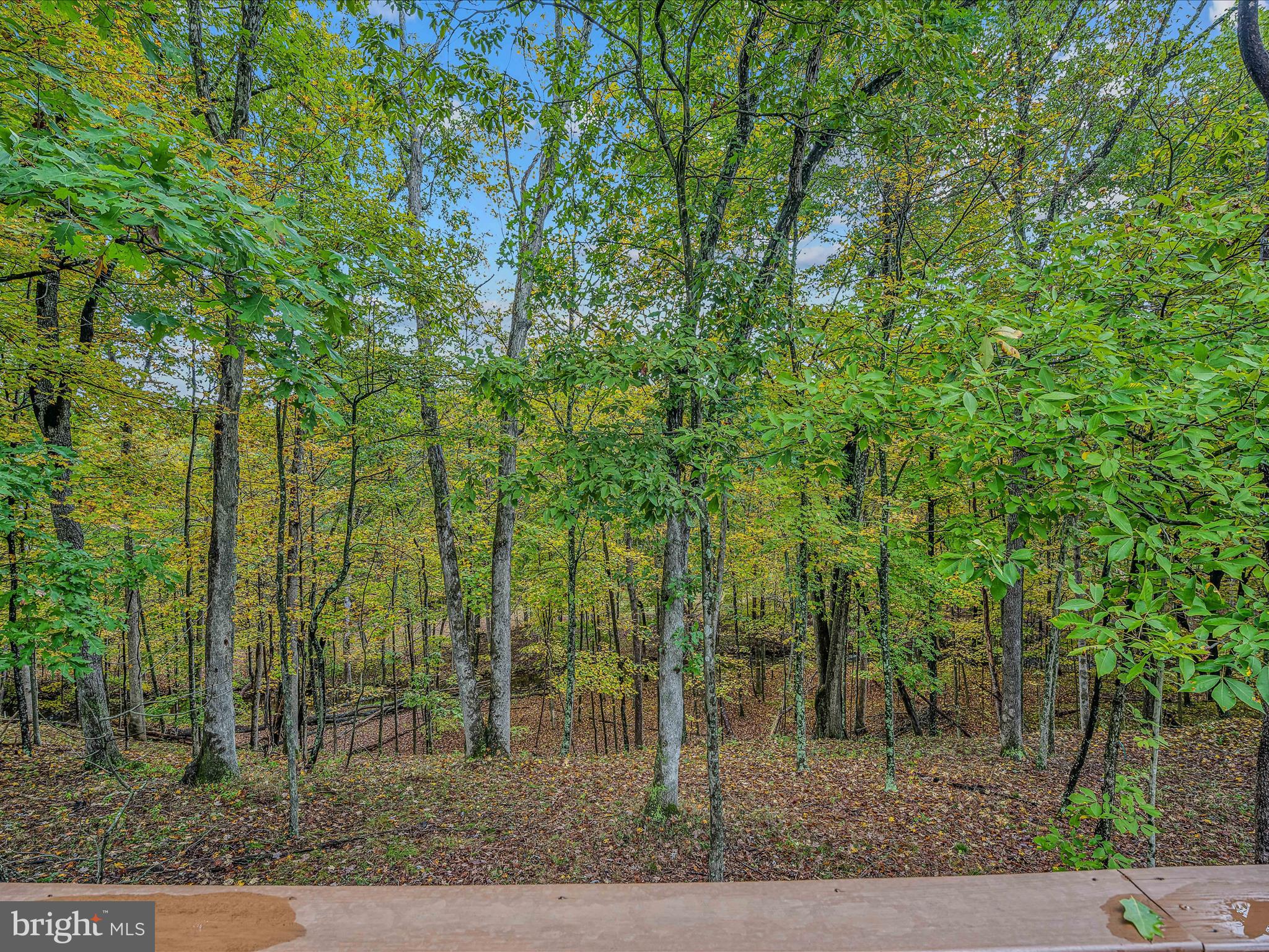 CACAPON SOUTH - Residential