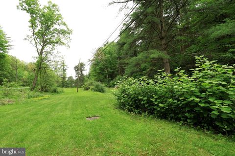 Tiny photo for 904 Moose Run Road, BELLEFONTE, PA 16823 (MLS # PACE2517736)