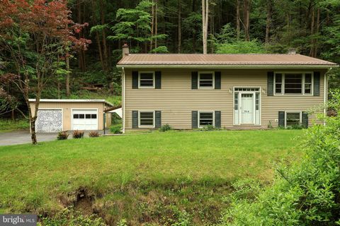 Tiny photo for 904 Moose Run Road, BELLEFONTE, PA 16823 (MLS # PACE2517736)