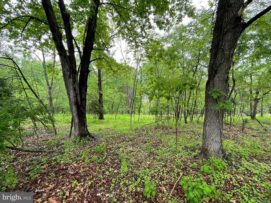 Lot 12 in the Windover Hills Subdivision is a 1.19 acre lot, perfect place to build your dream home.