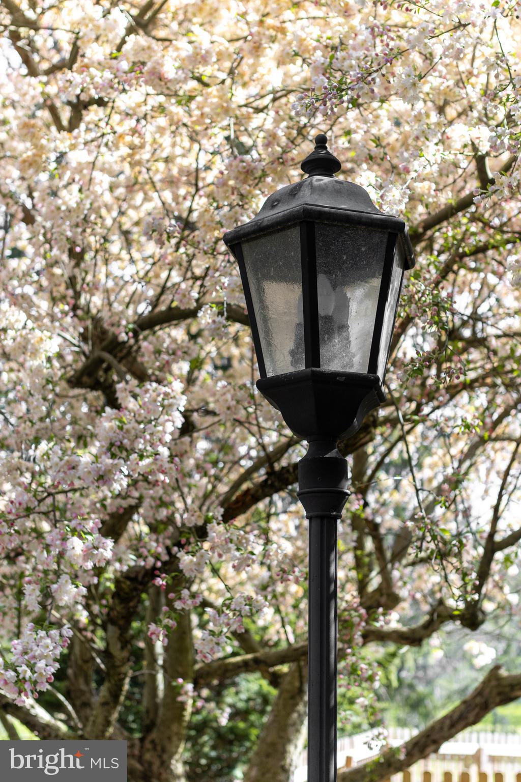 STATE COLLEGE BORO - Residential