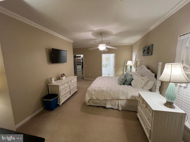 BULLE ROCK - Residential