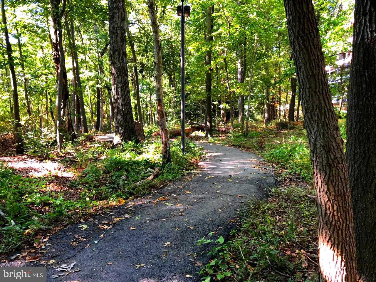 HIGH POINTE AT JEFFERSON PARK - Residential