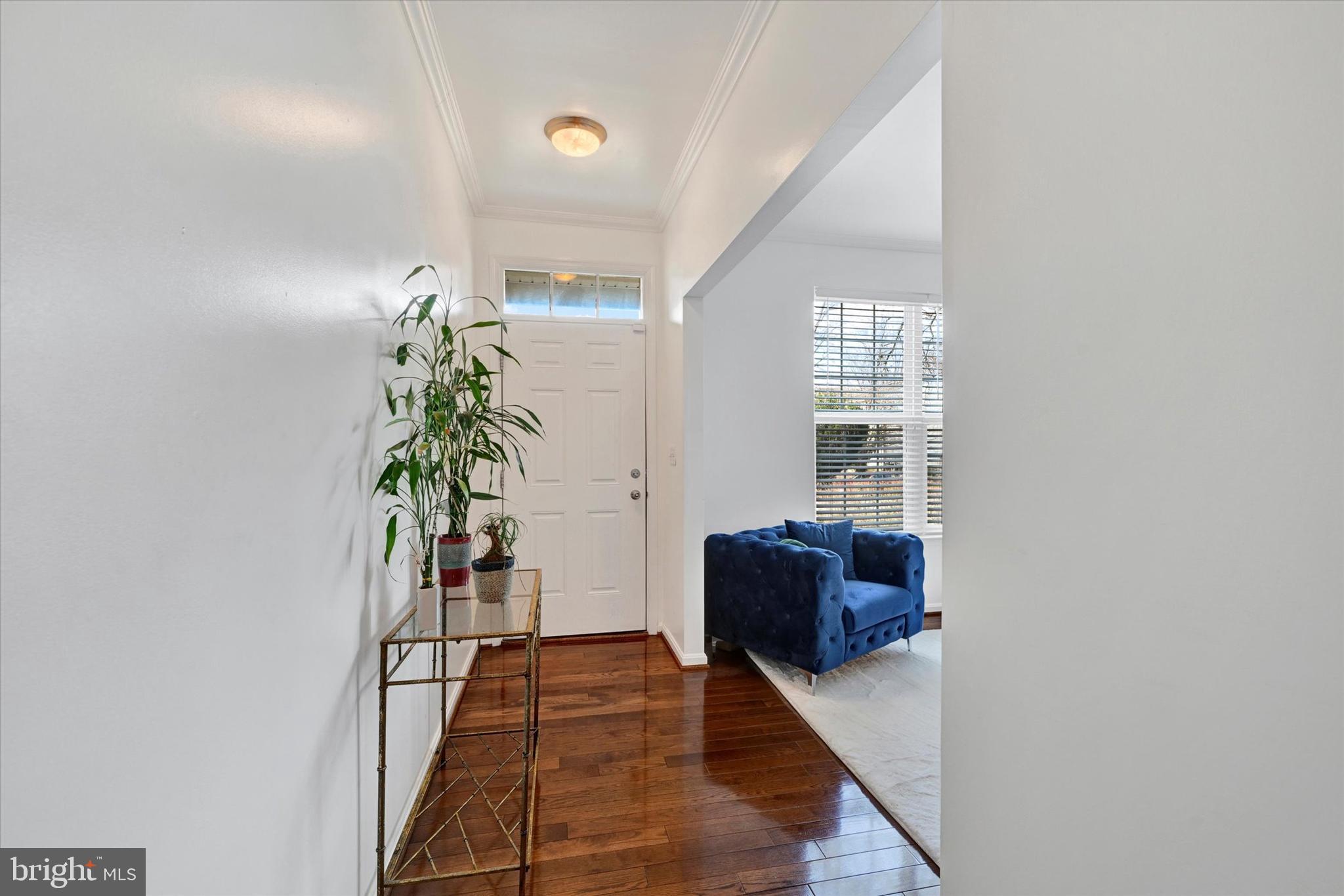 BONITA - Residential