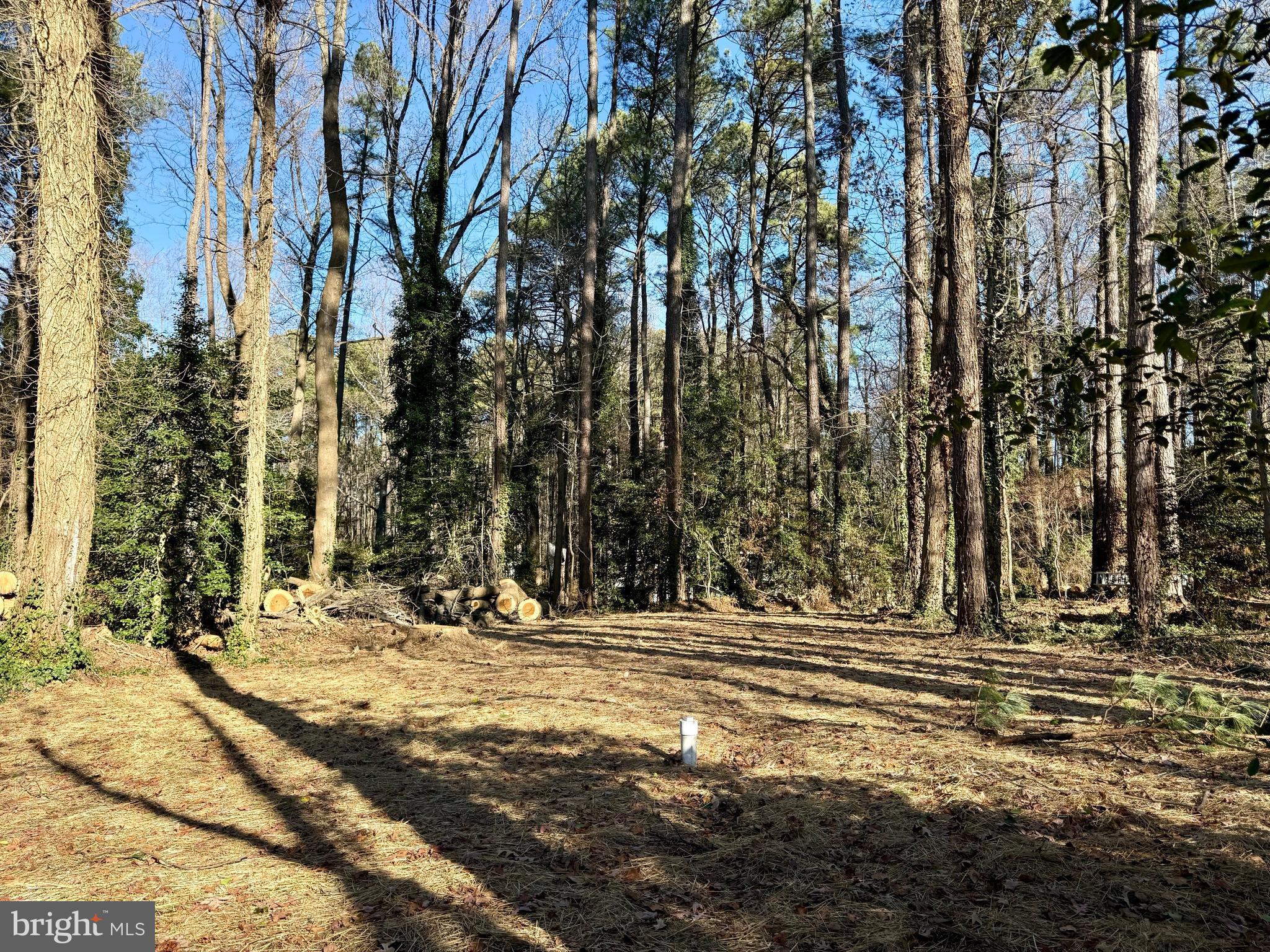 DRUM POINT - Residential