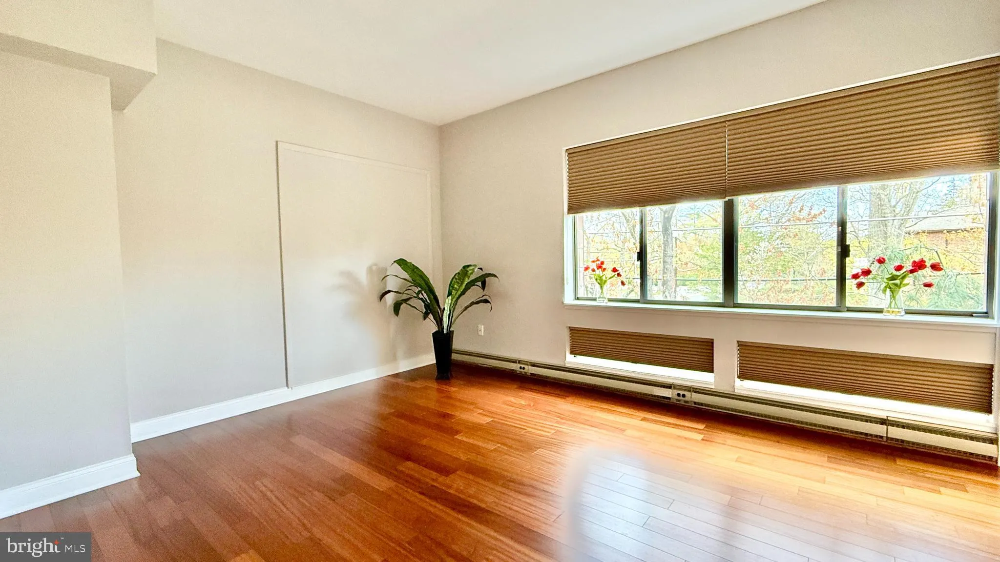 Princeton, New Jersey 08540, United States, 2 Bedrooms Bedrooms, ,2 BathroomsBathrooms,Residential,Active,117513