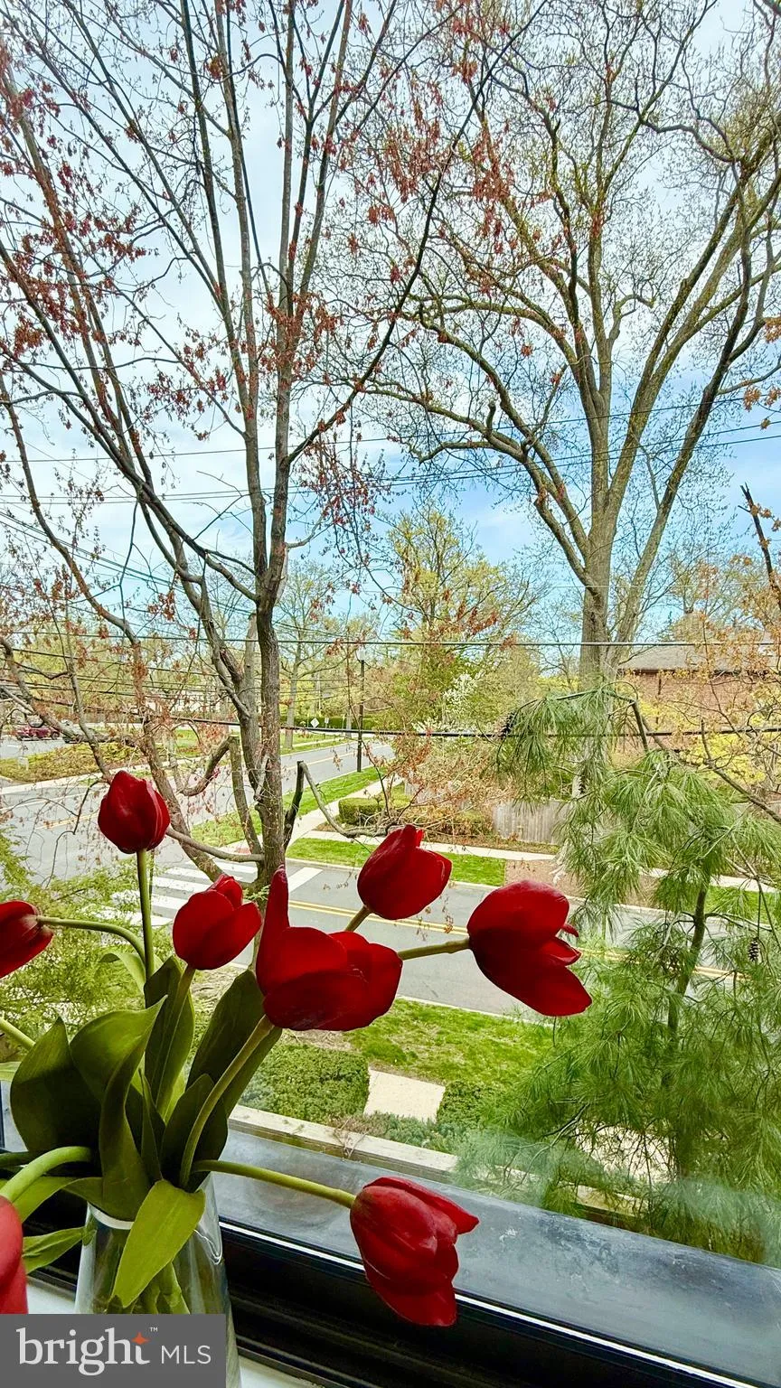 Princeton, New Jersey 08540, United States, 2 Bedrooms Bedrooms, ,2 BathroomsBathrooms,Residential,Active,117513