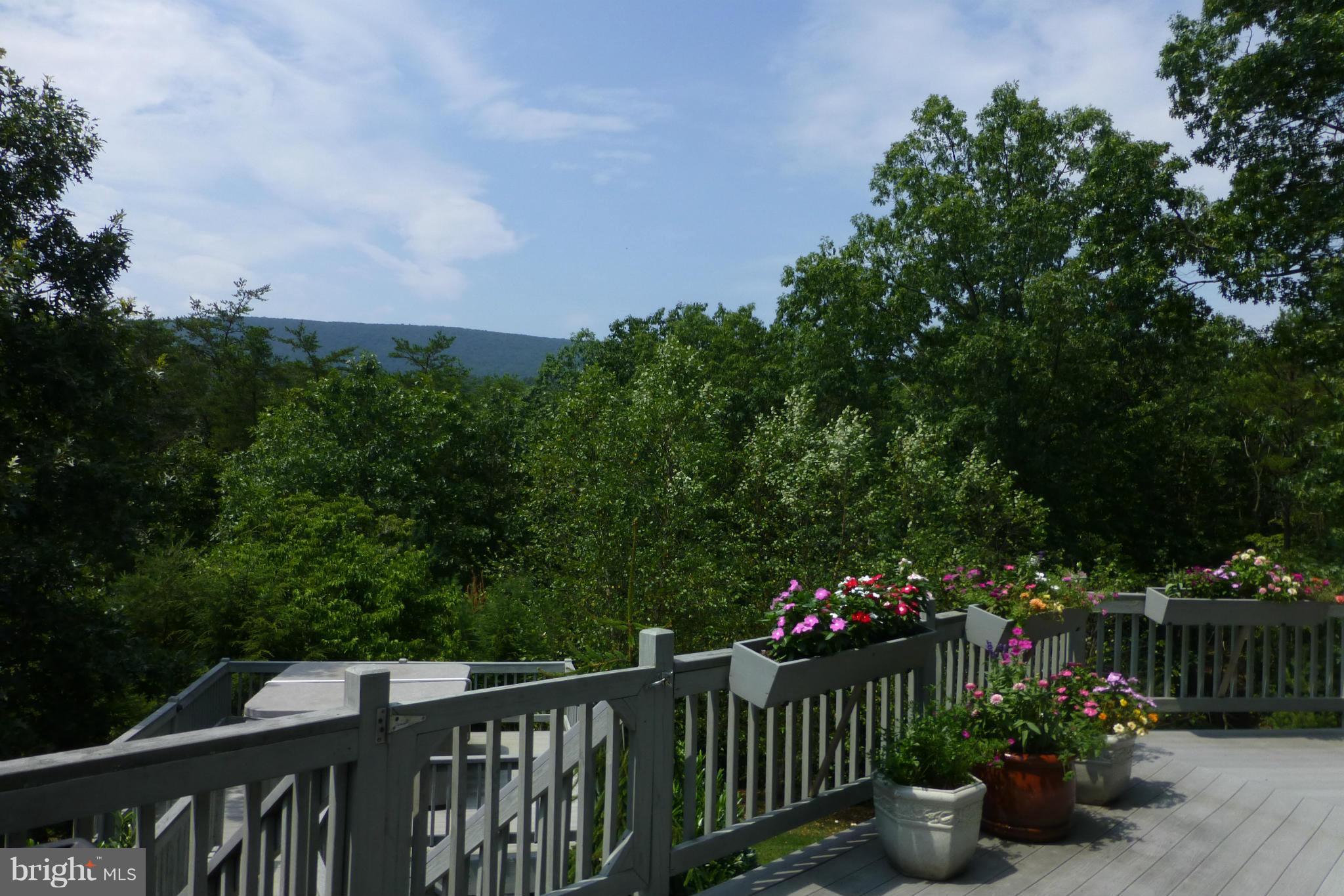 CACAPON SOUTH - Residential