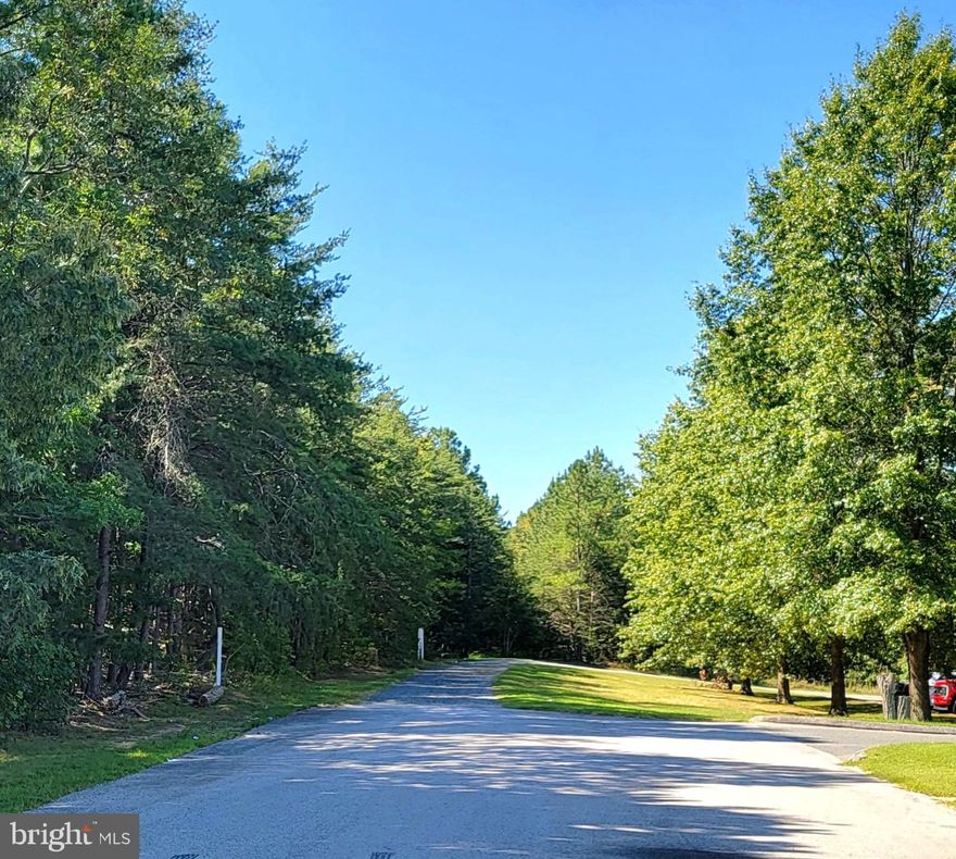 Large parcel zoned Industrial directly across from NAS Pax River.
Located in the Lexington Park Development District.
The parcel requires Air Installations Compatible Use Zone (AICUZ) and Airport Environs (AE) Overlays to ensure land use compatibility with the air operations at NAS Pax River.
Potential ​buyers MUST contact St. Mary's County LUGM for approved uses!
"Potential" uses include but are not limited to: Agricultural, Government Facility, Public Maintenance Facility, Animal Hospital, Commercial Parking Facility, Financial Institution, Laboratory, Maintenance and Repair Service, Motor Vehicle Maintenance Service, Office, Research and Development Service, Personal Storage, Warehousing and Storage, Wholesaling and Distribution Center,  and Production Industry.