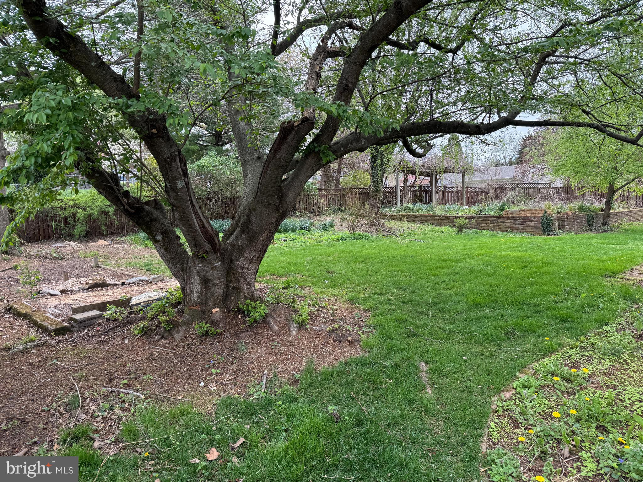 OAK RIDGE - Residential