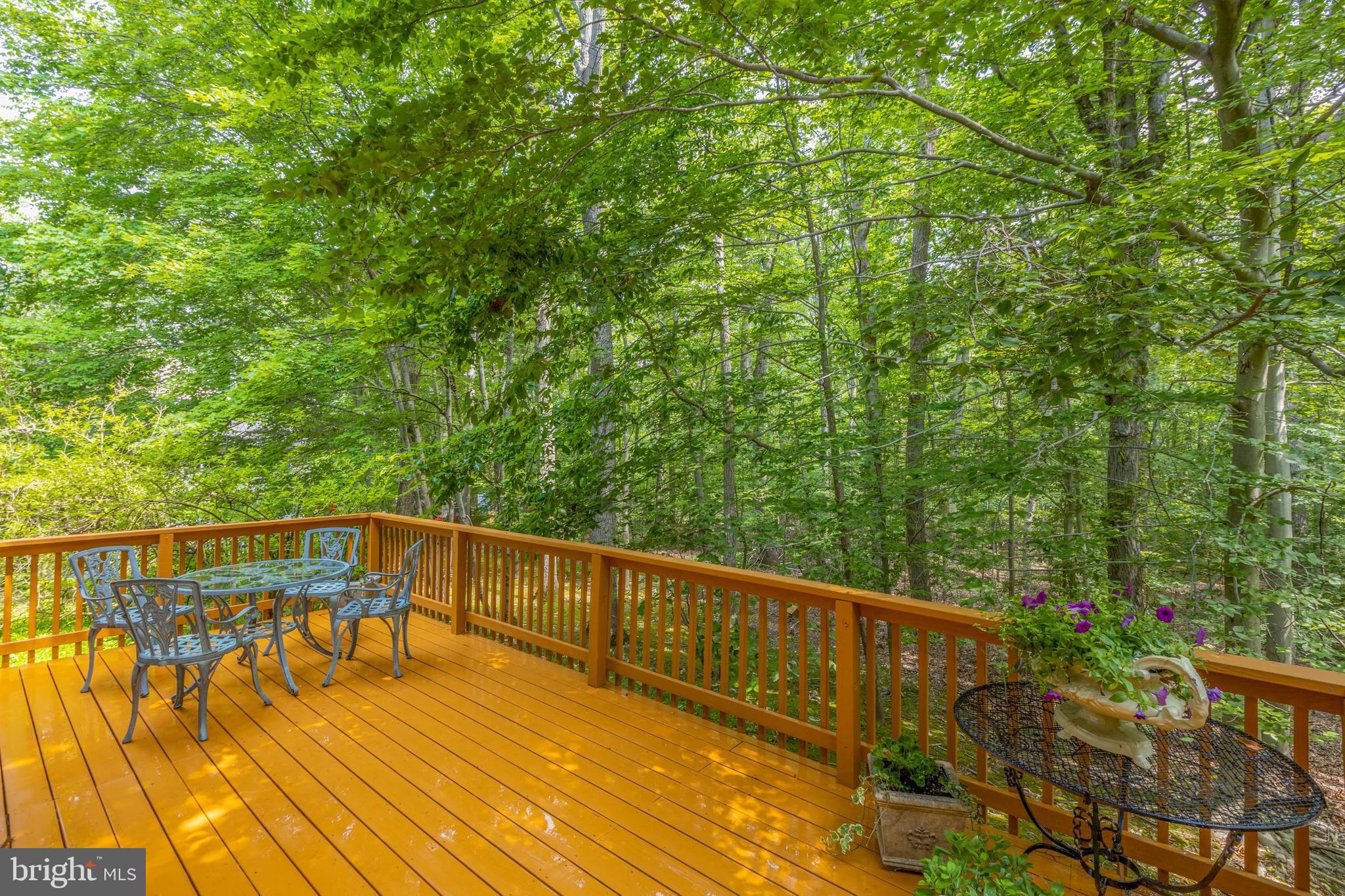 HAMPTON HILLS - Residential