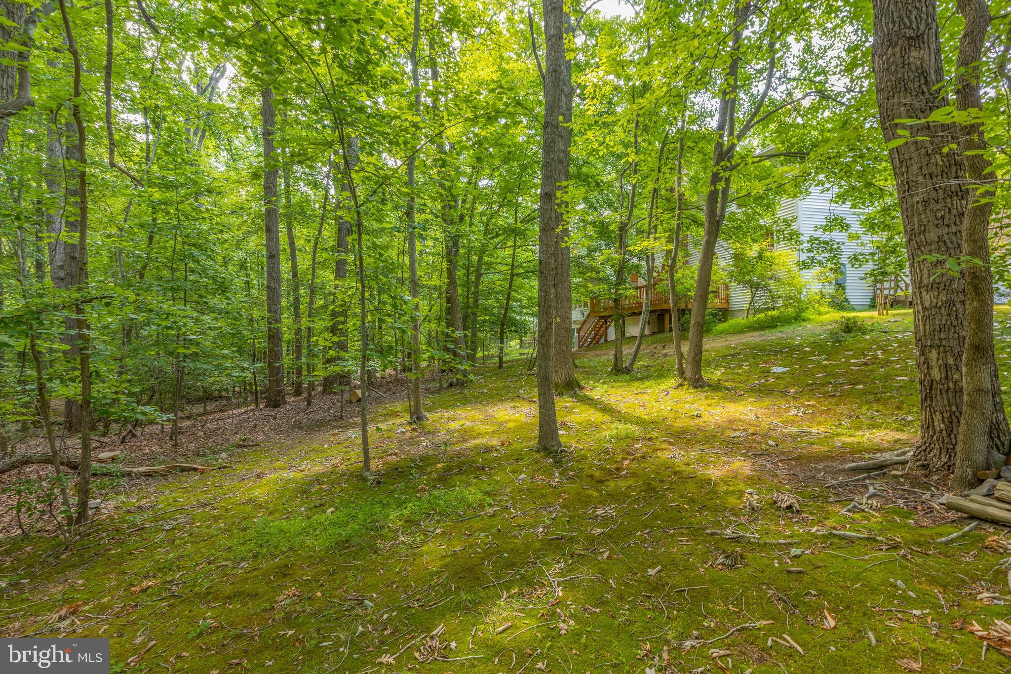 HAMPTON HILLS - Residential