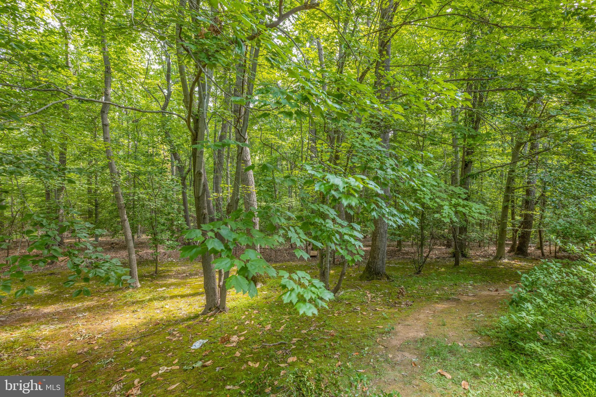 HAMPTON HILLS - Residential