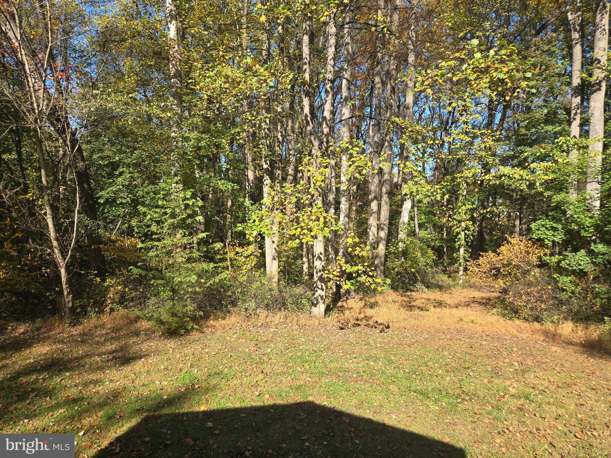 COLORA - Residential