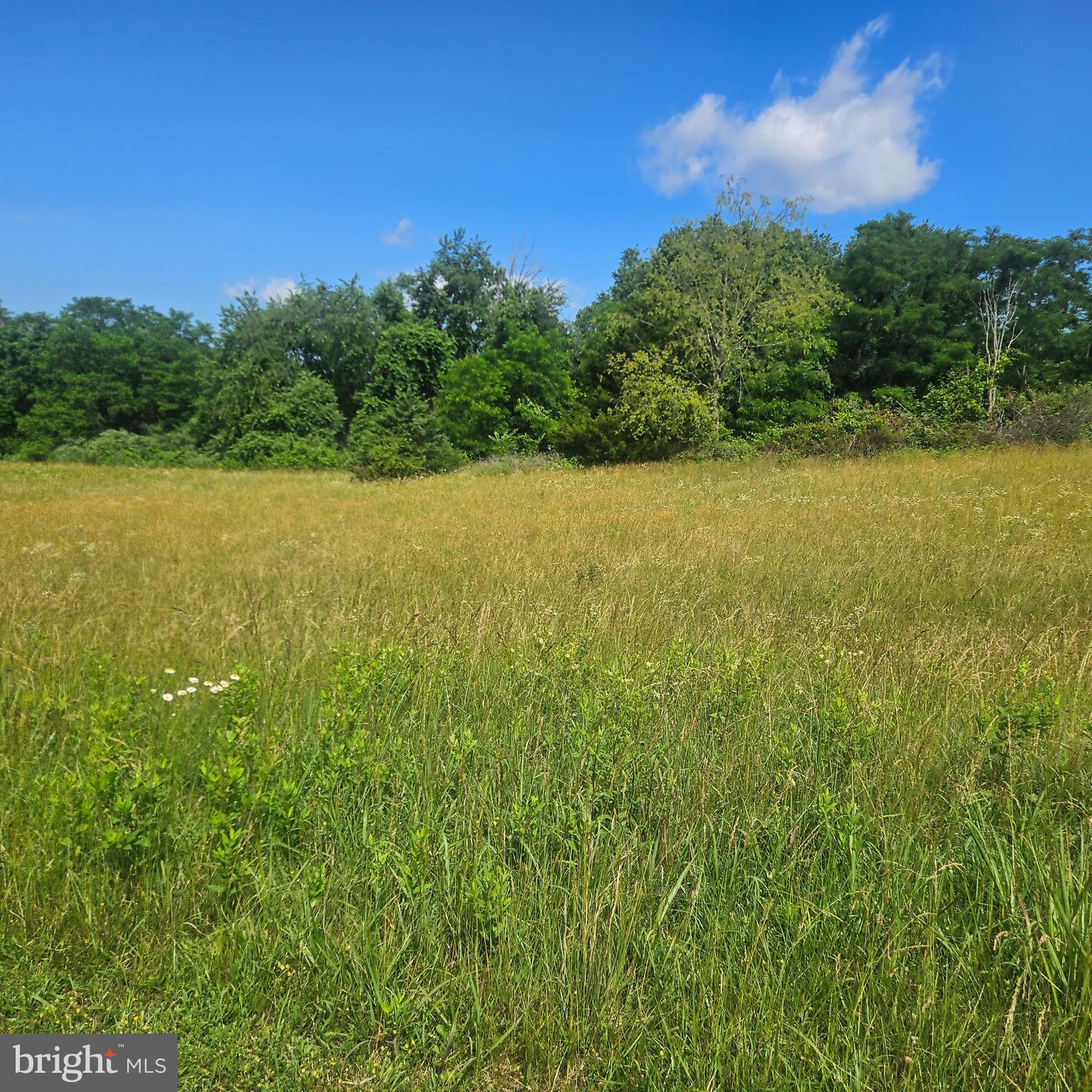 0 PEAR BLOSSOM LANE 9, 11, 12, 13