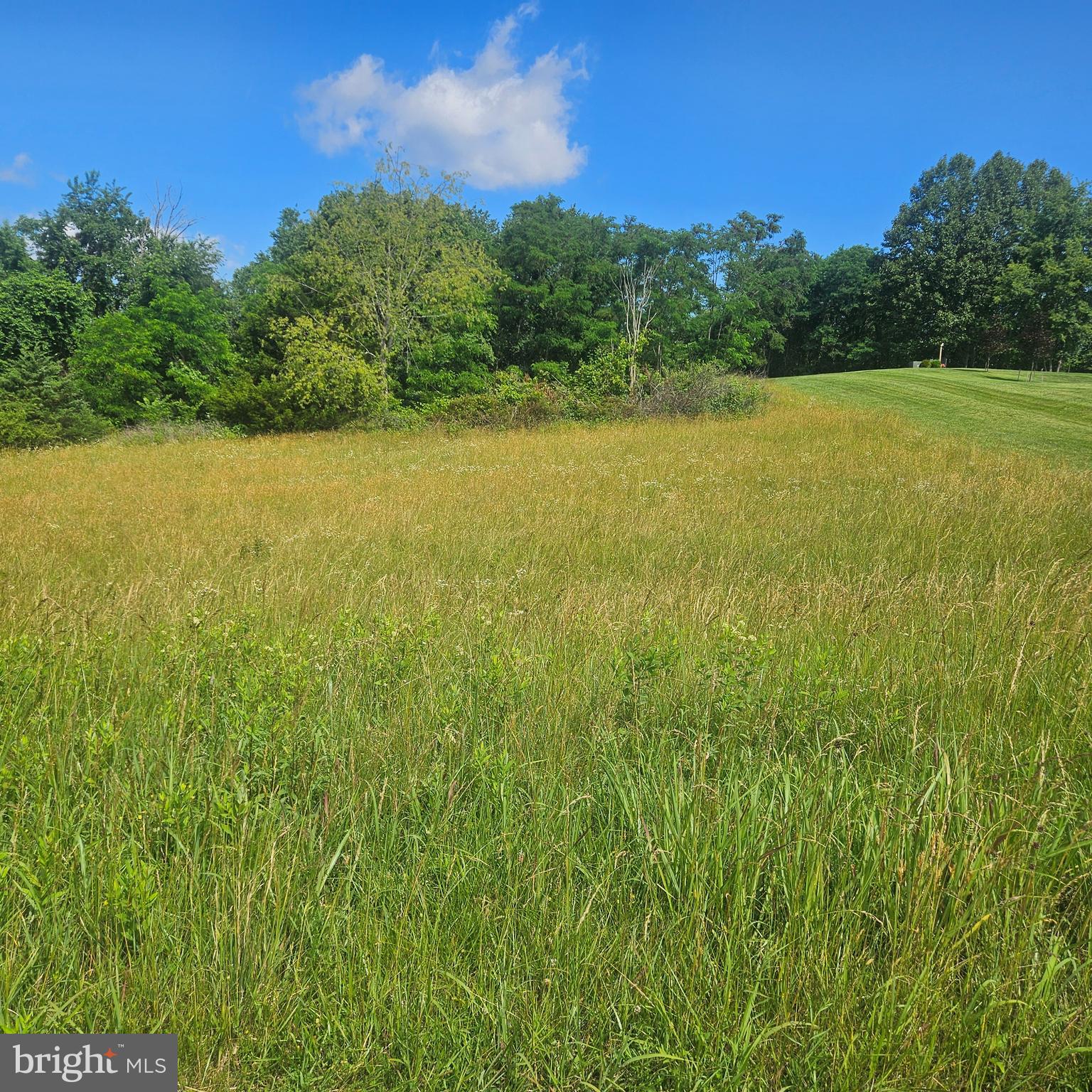 0 PEAR BLOSSOM LANE 9, 11, 12, 13