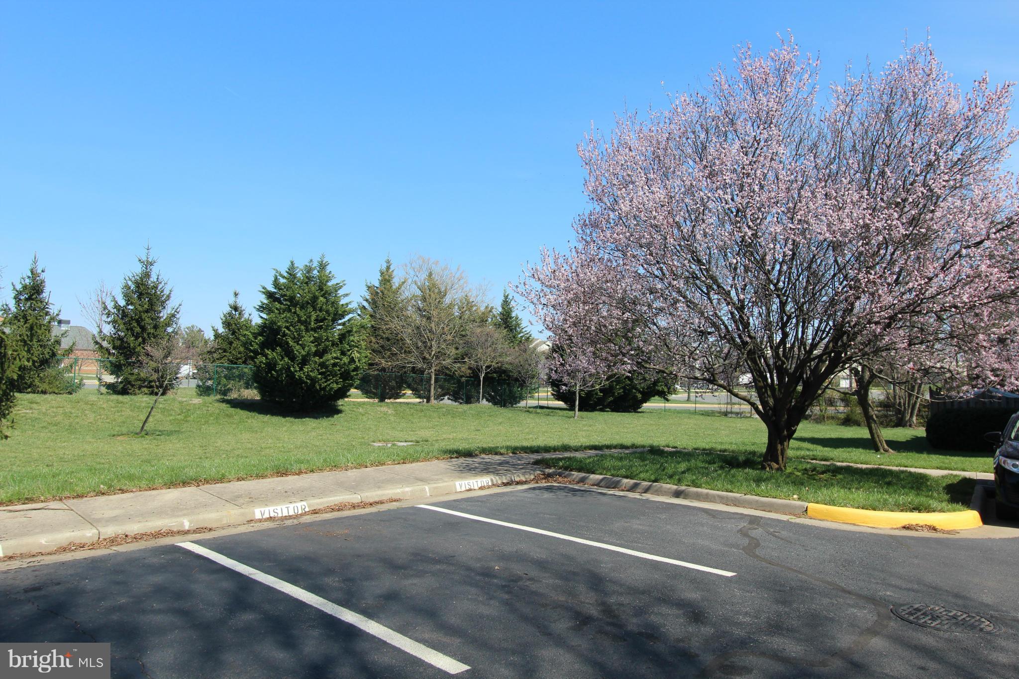 OLD TOWN STATION - Residential