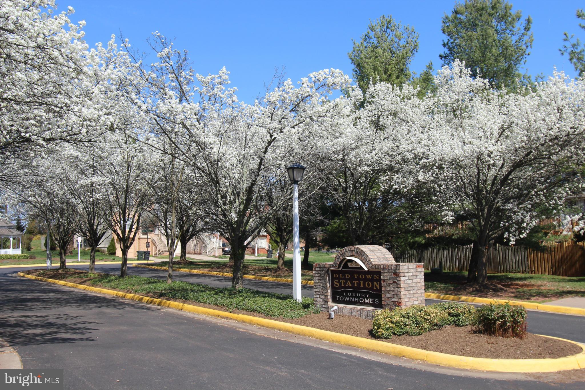 OLD TOWN STATION - Residential