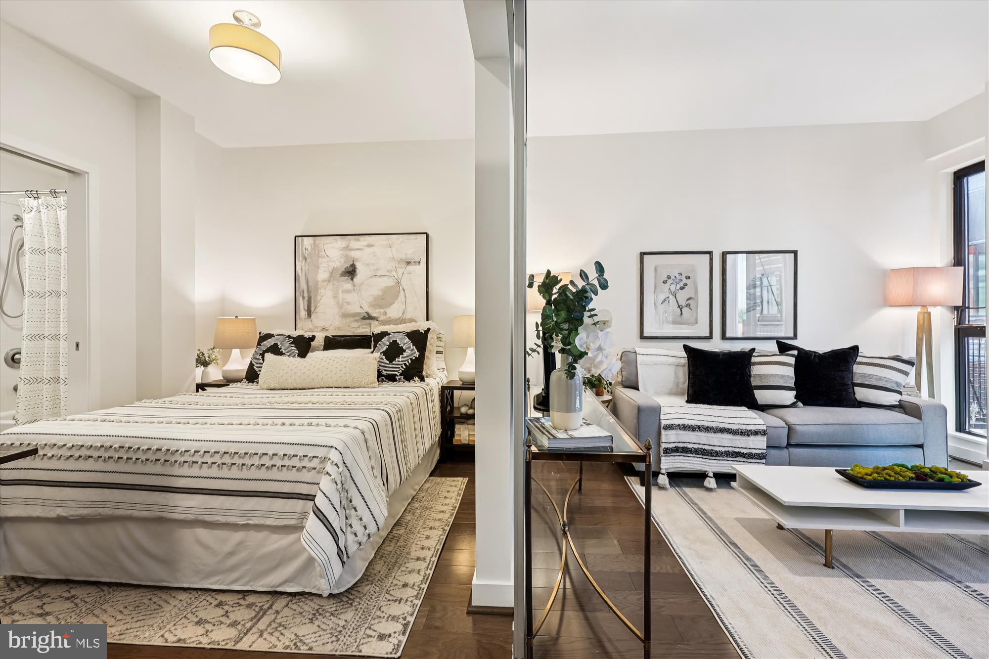 DOWNTOWN SILVER SPRING - Residential