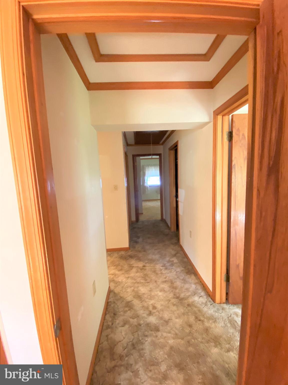 CABBAGE ALLEY - Residential