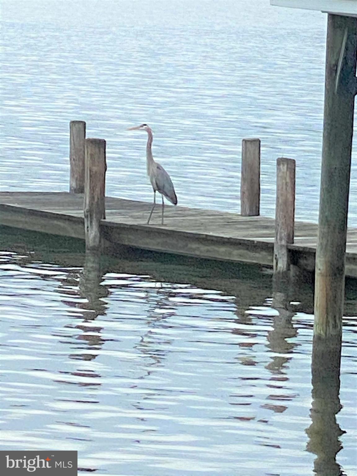 CABBAGE ALLEY - Residential
