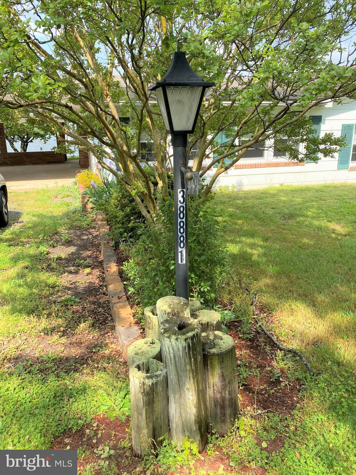 CABBAGE ALLEY - Residential