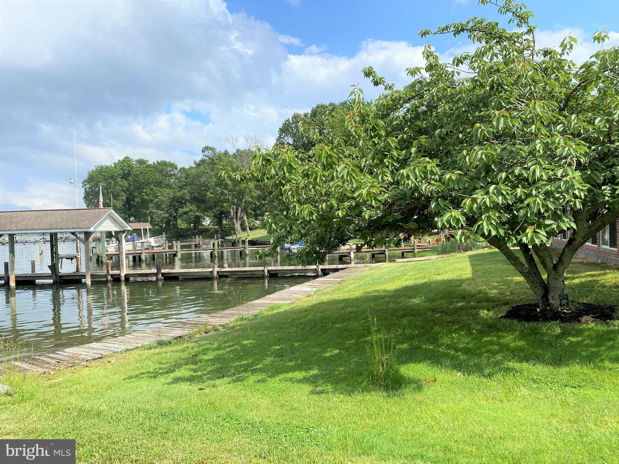 CABBAGE ALLEY - Residential