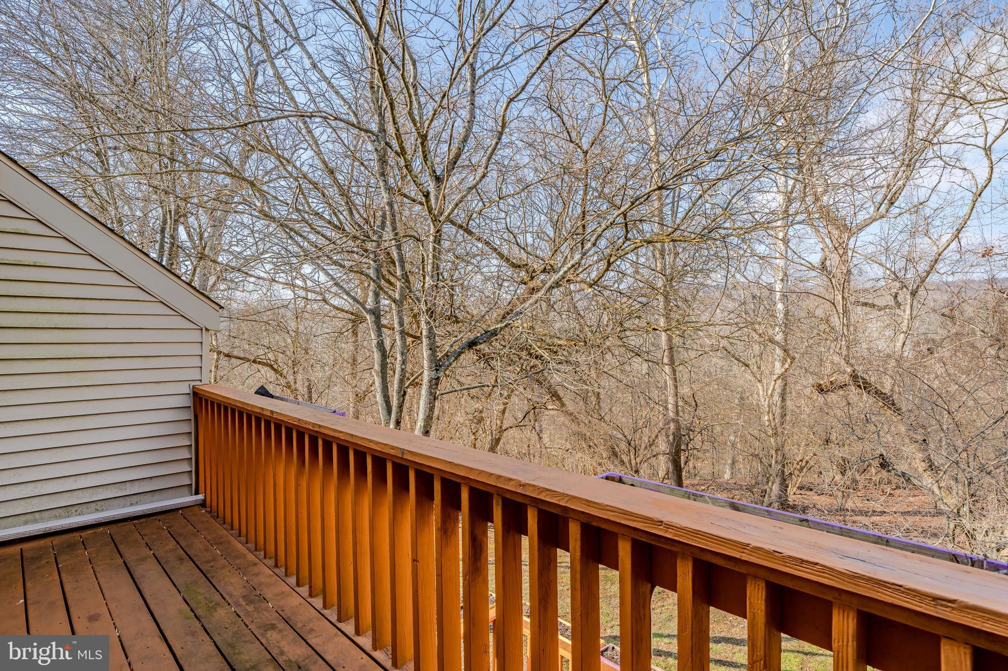 PADDOCK - Residential Lease