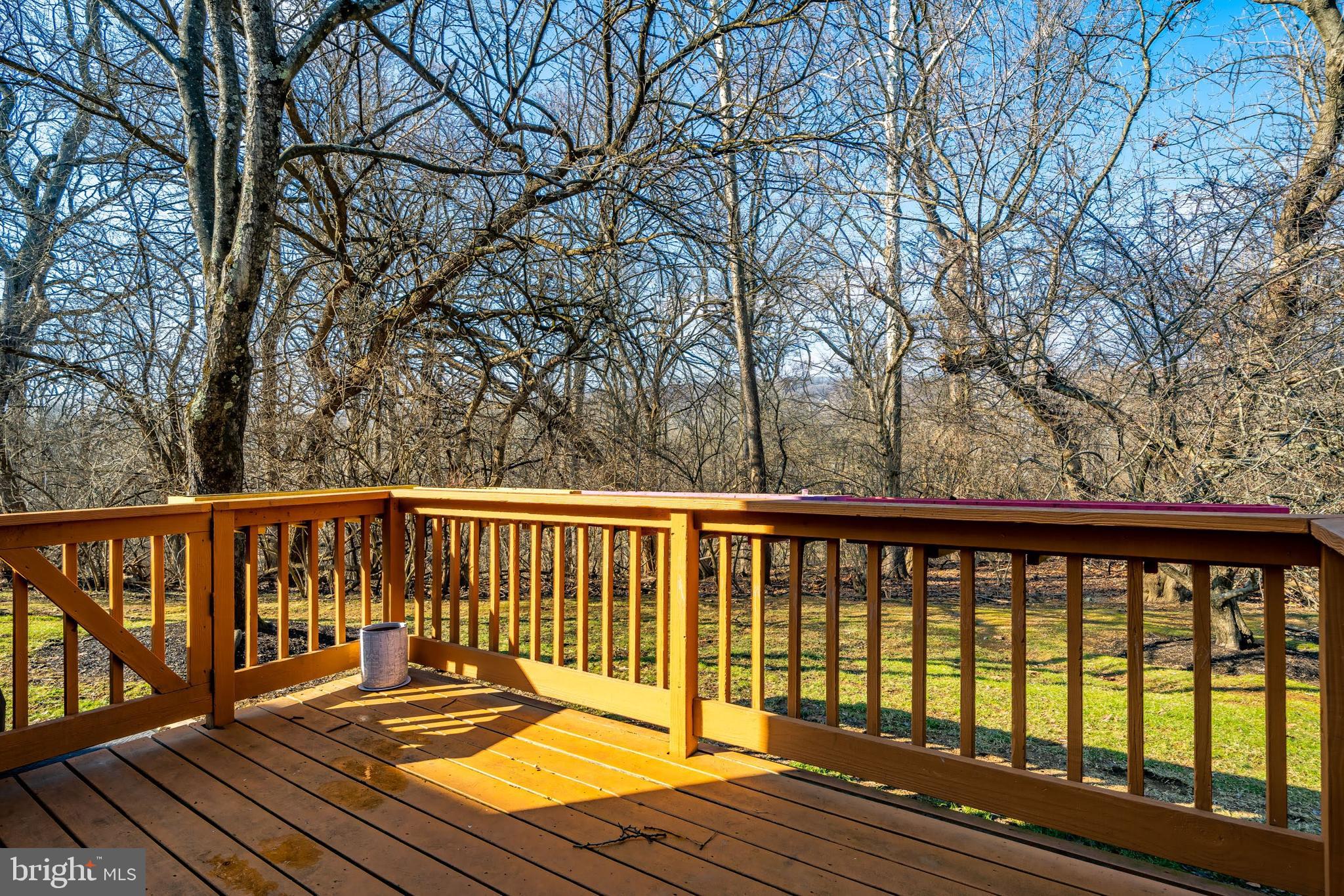 PADDOCK - Residential Lease