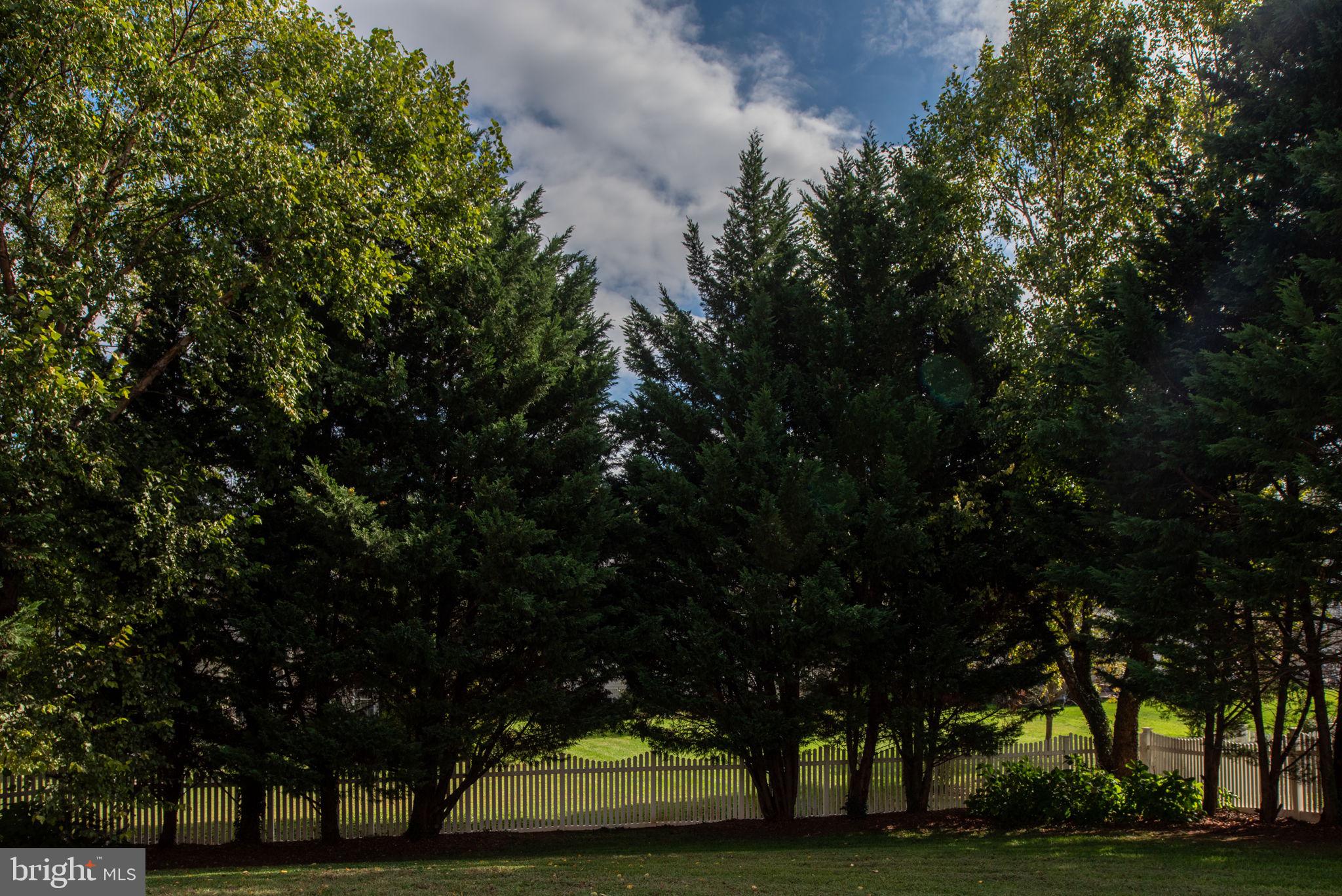 THE RESERVE AT MOORHEAD - Residential