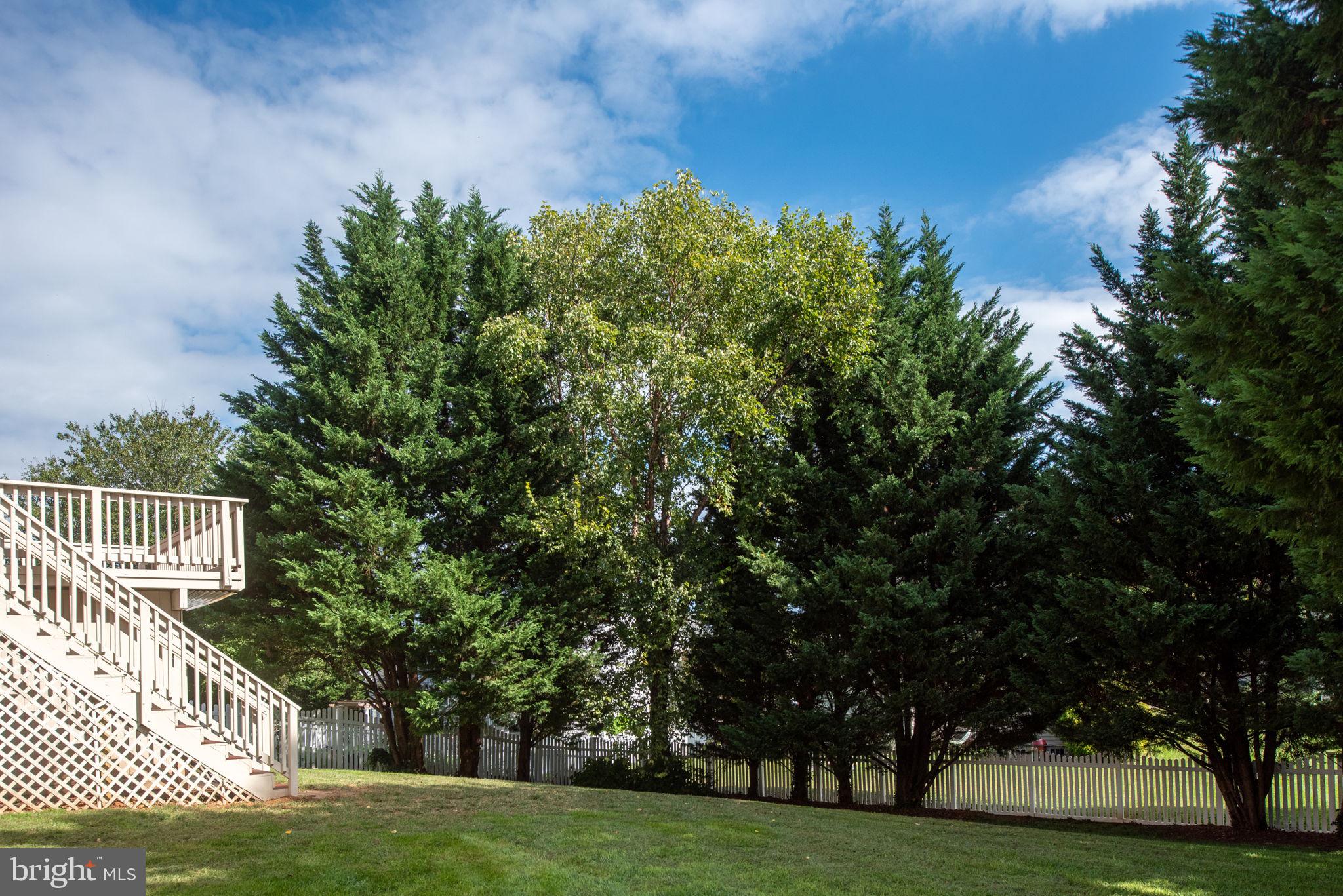 THE RESERVE AT MOORHEAD - Residential