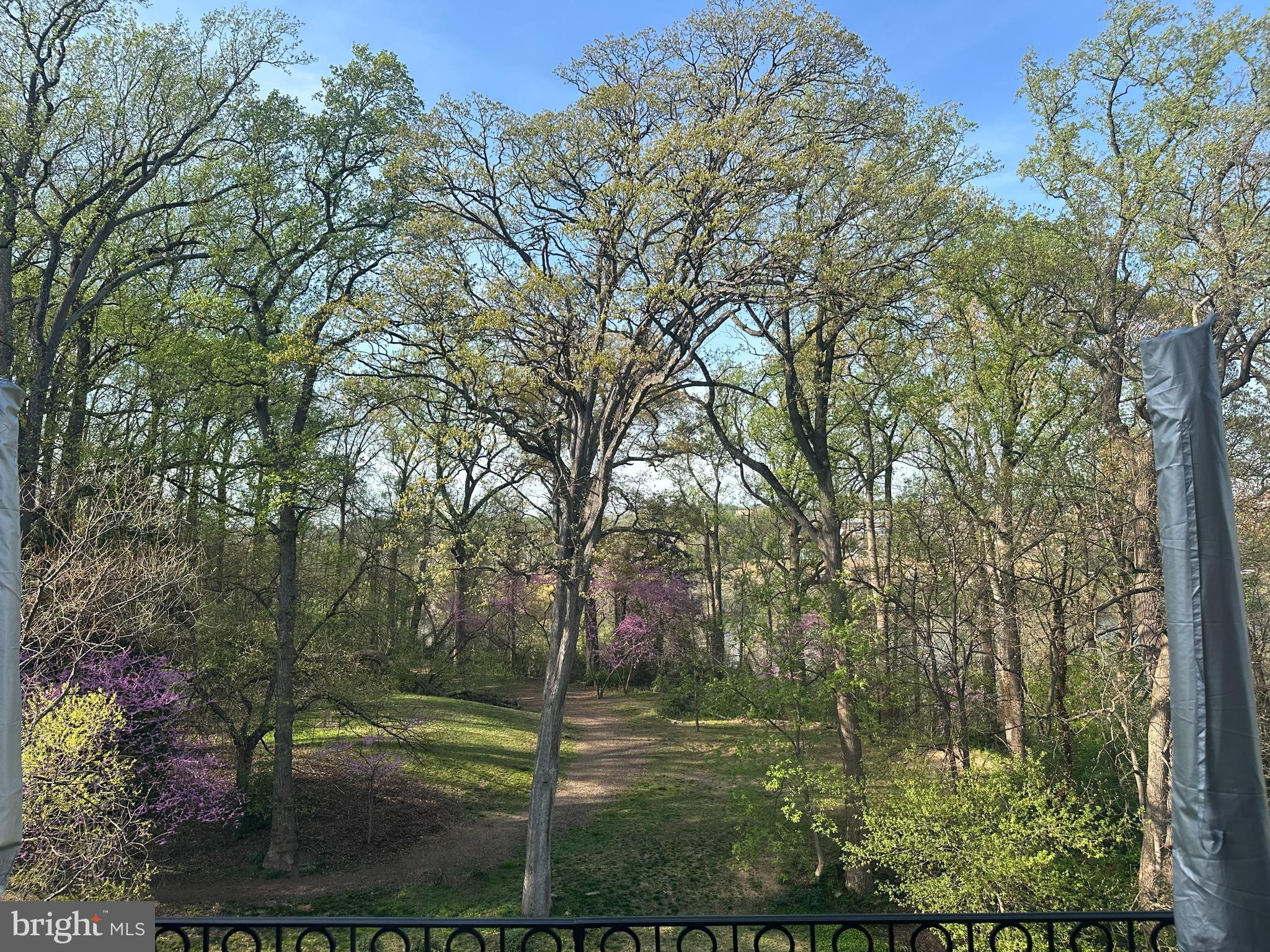 PALISADES PARK - Residential