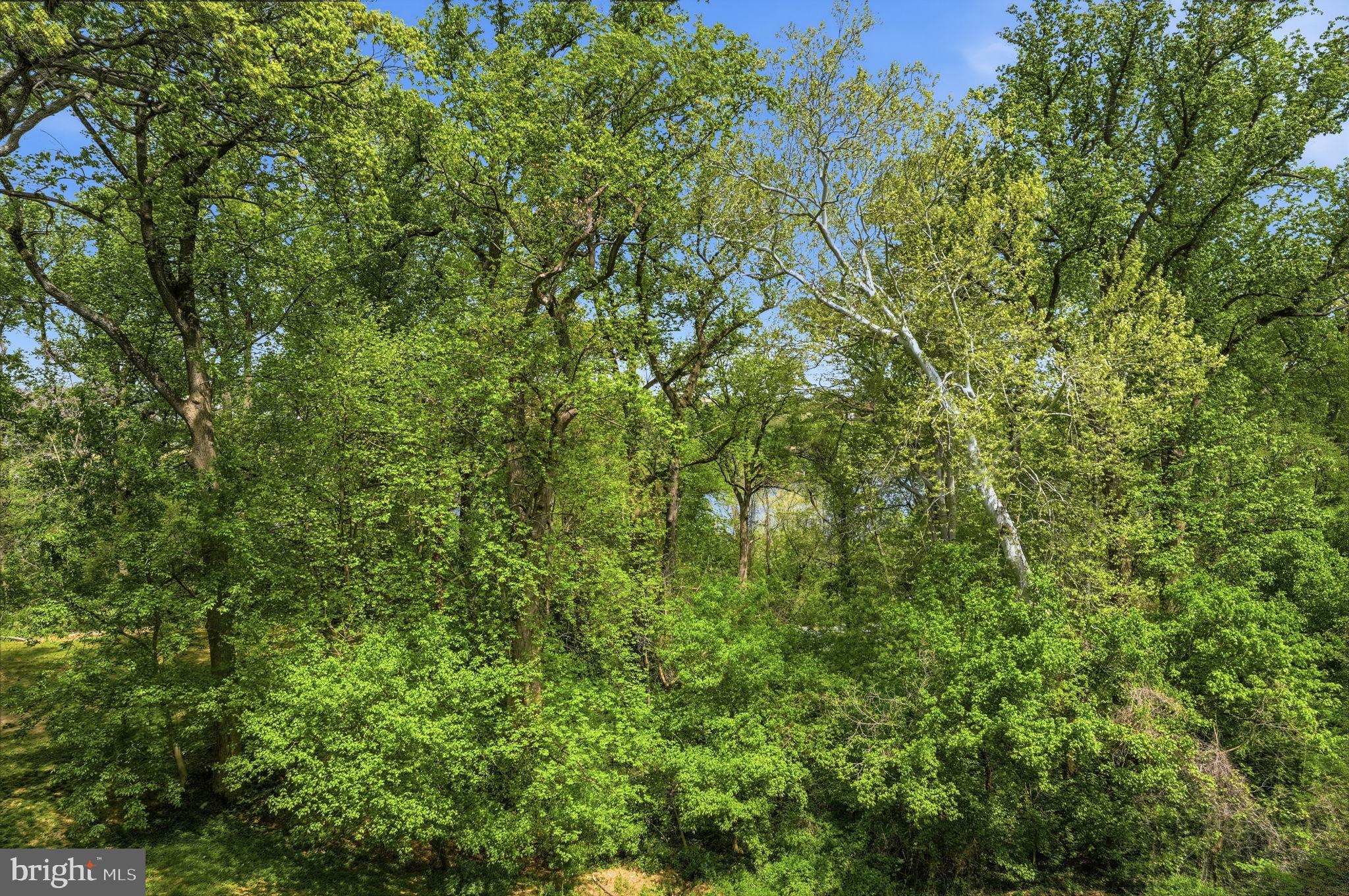 PALISADES PARK - Residential