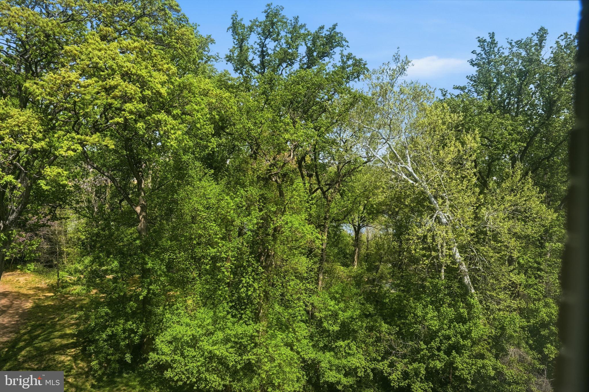 PALISADES PARK - Residential