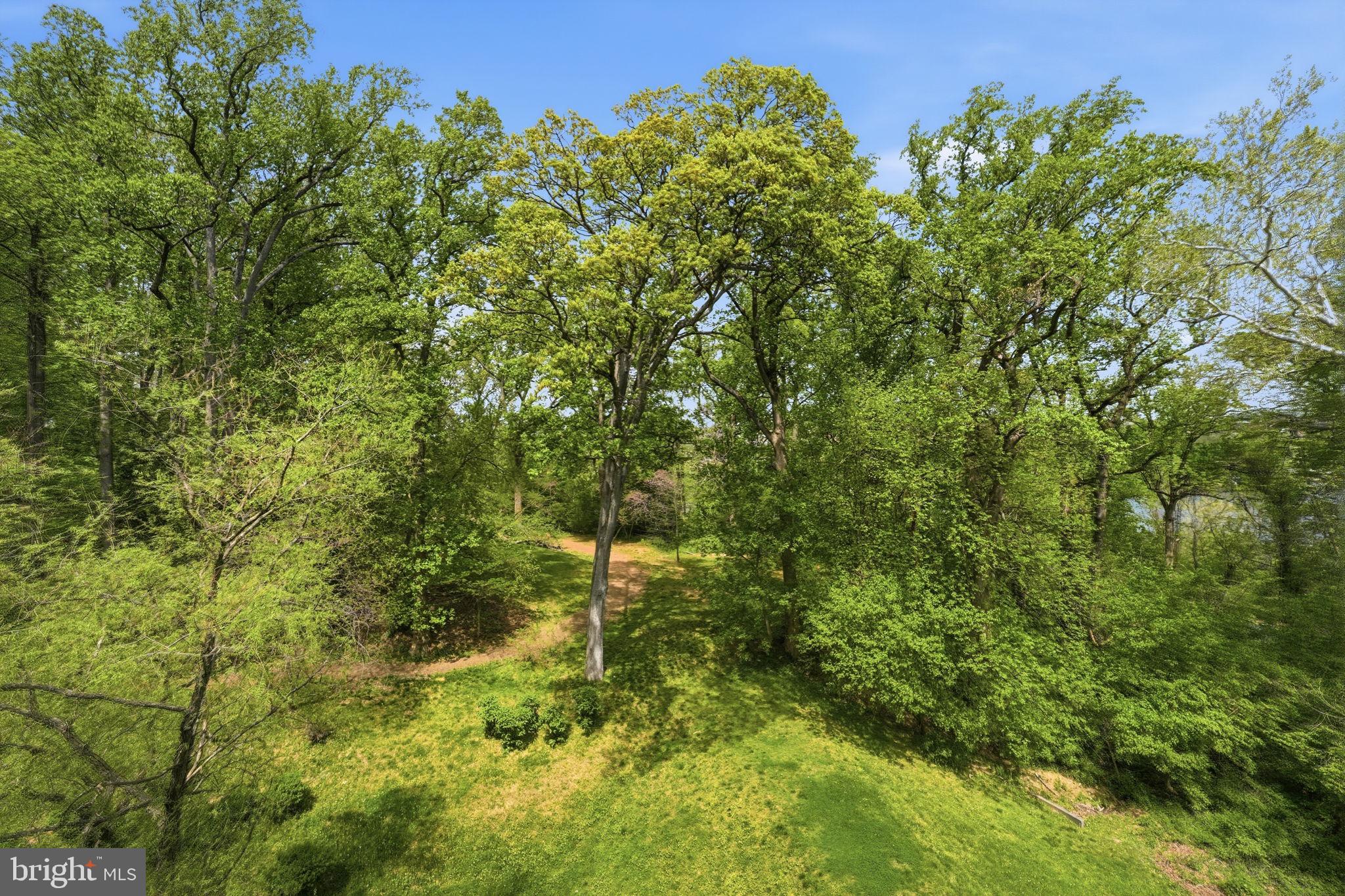 PALISADES PARK - Residential