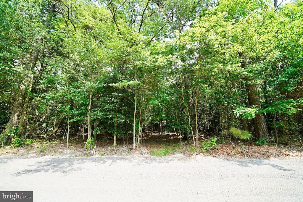 Photo of Lot 4 Mount Joy Road, MILLSBORO, DE 19966 (MLS # DESU2108276)