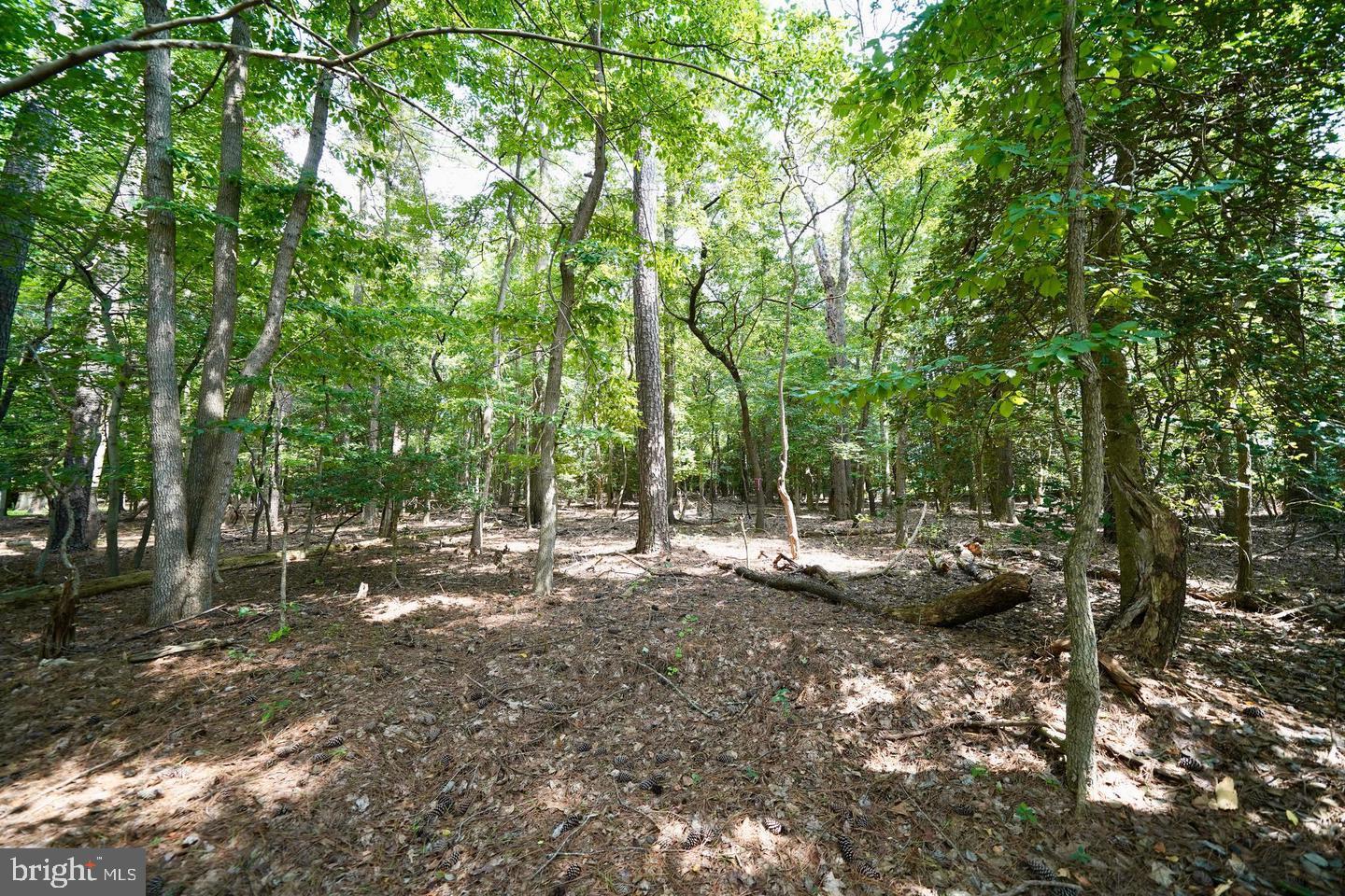 Lot 4 MOUNT JOY ROAD