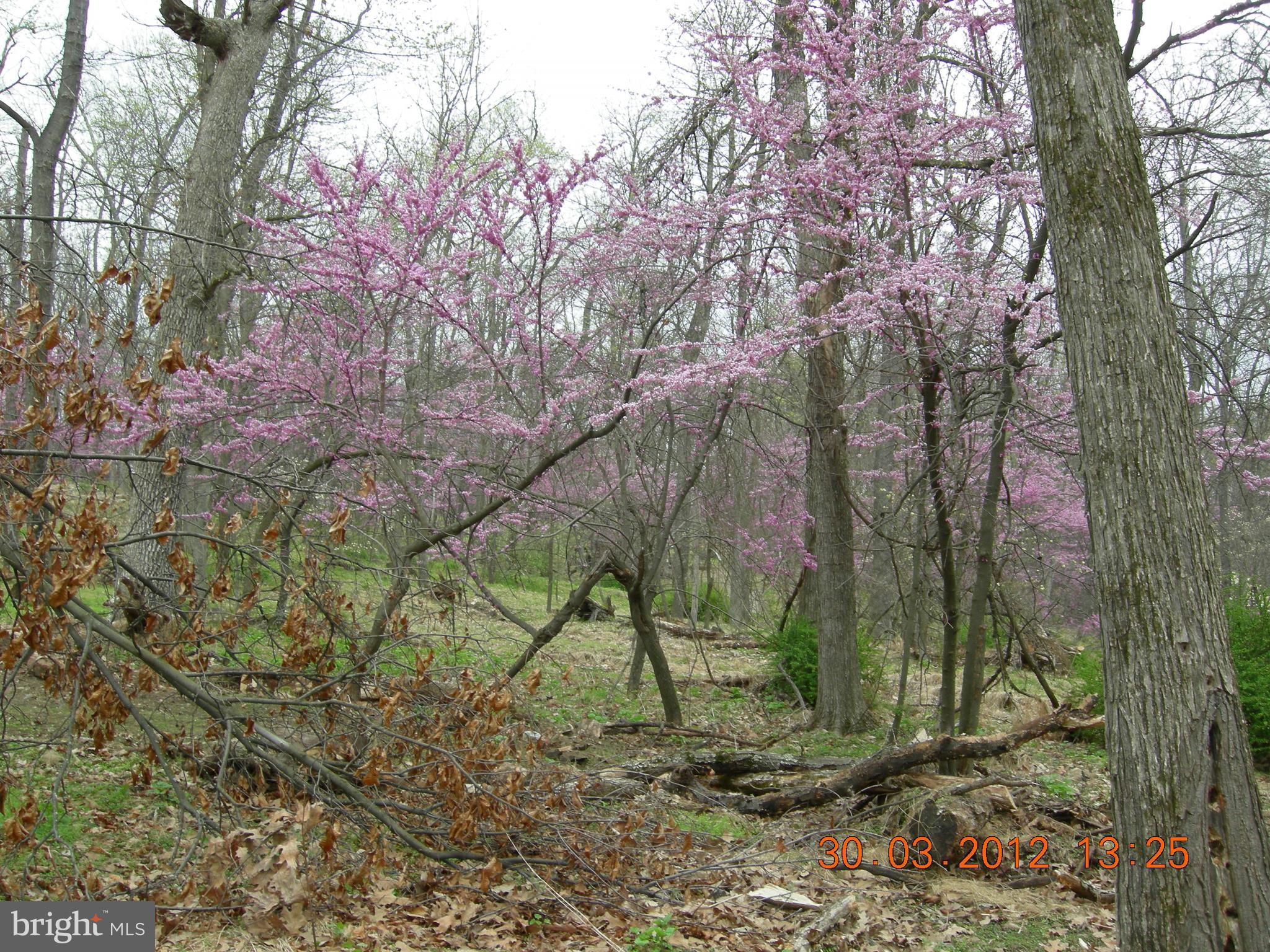 RITTERS HIDDEN VALLEY ESTATES - Land