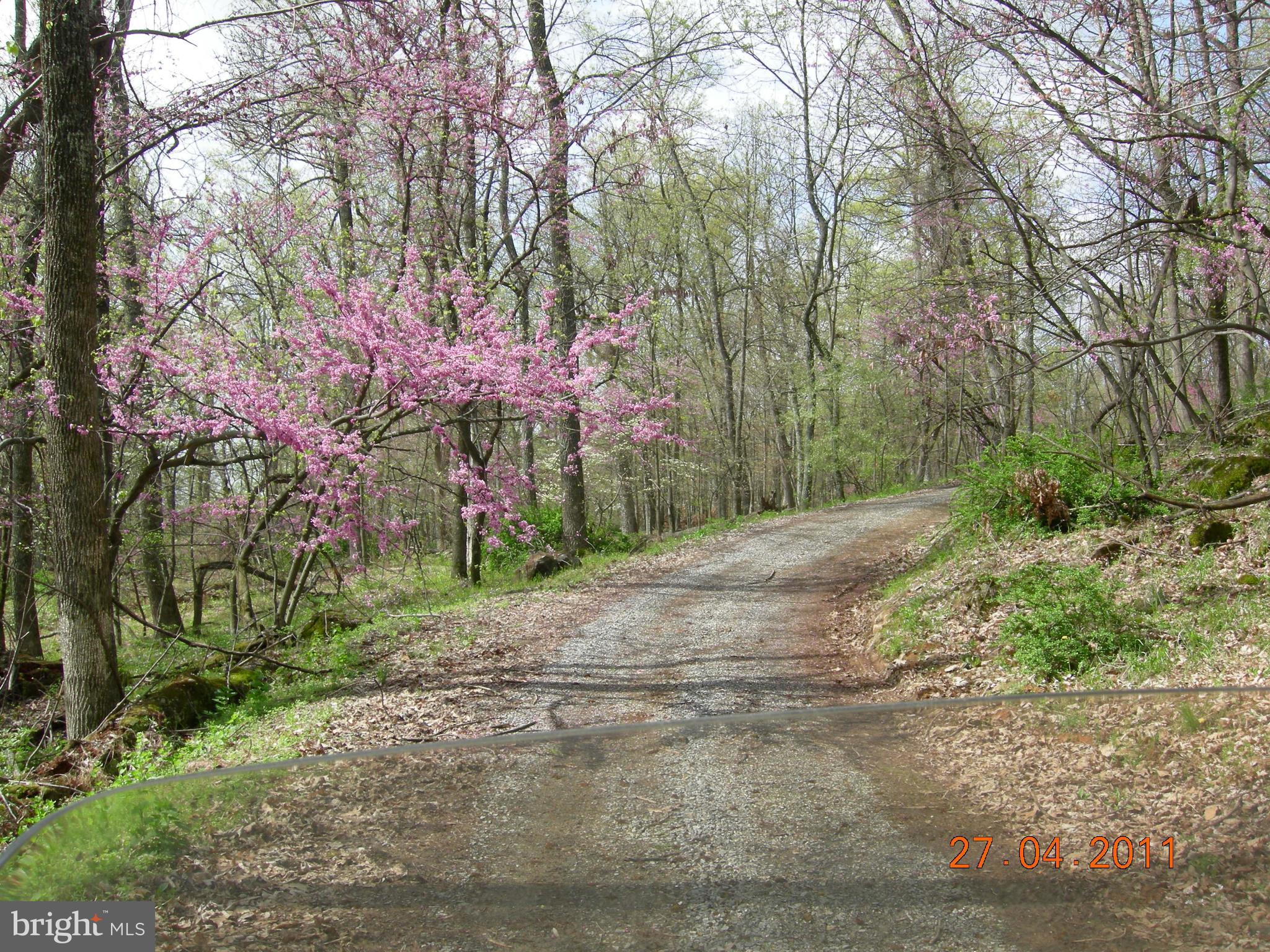 RITTERS HIDDEN VALLEY ESTATES - Land