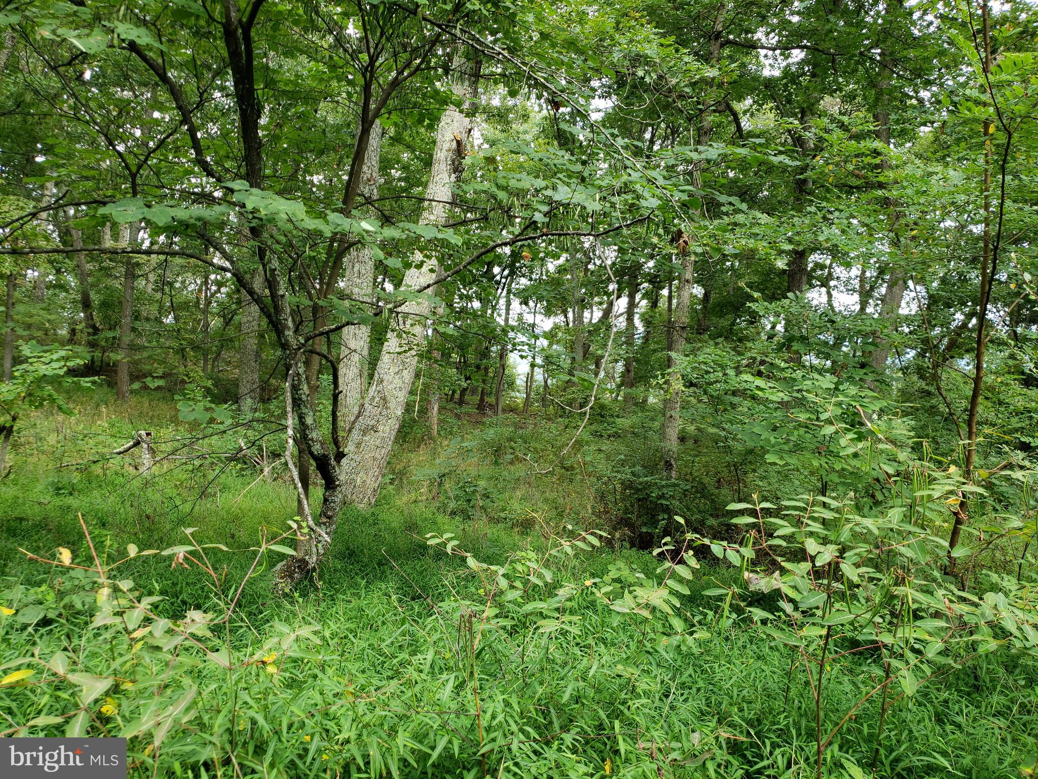 RITTERS HIDDEN VALLEY ESTATES - Land