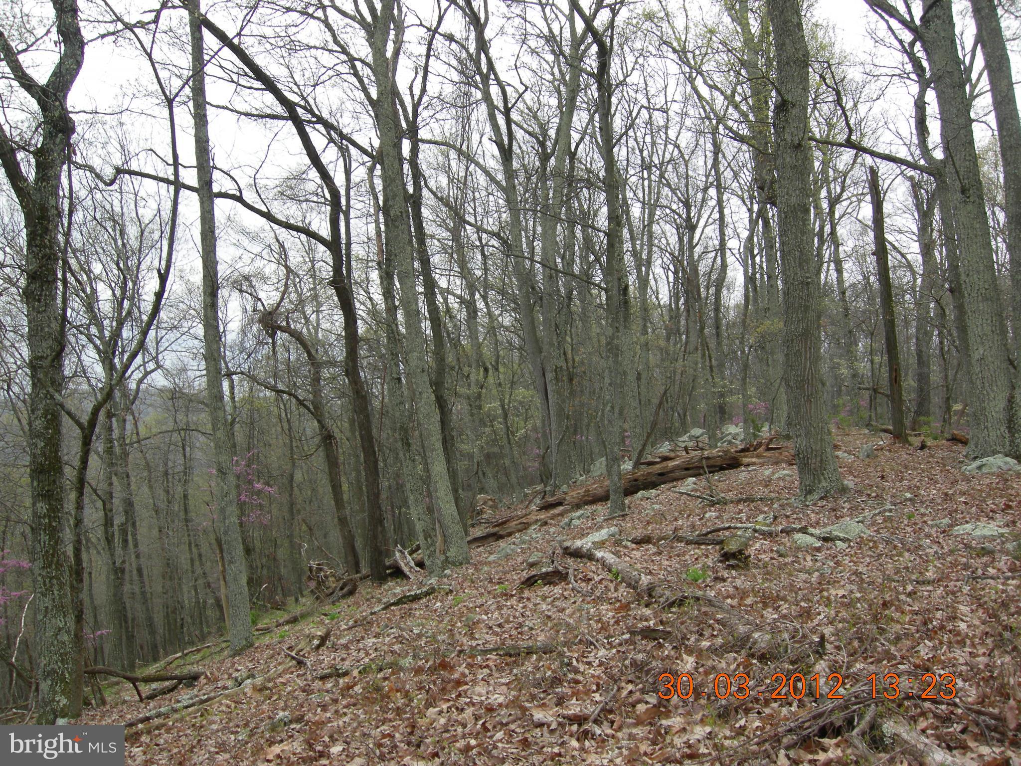 RITTERS HIDDEN VALLEY ESTATES - Land